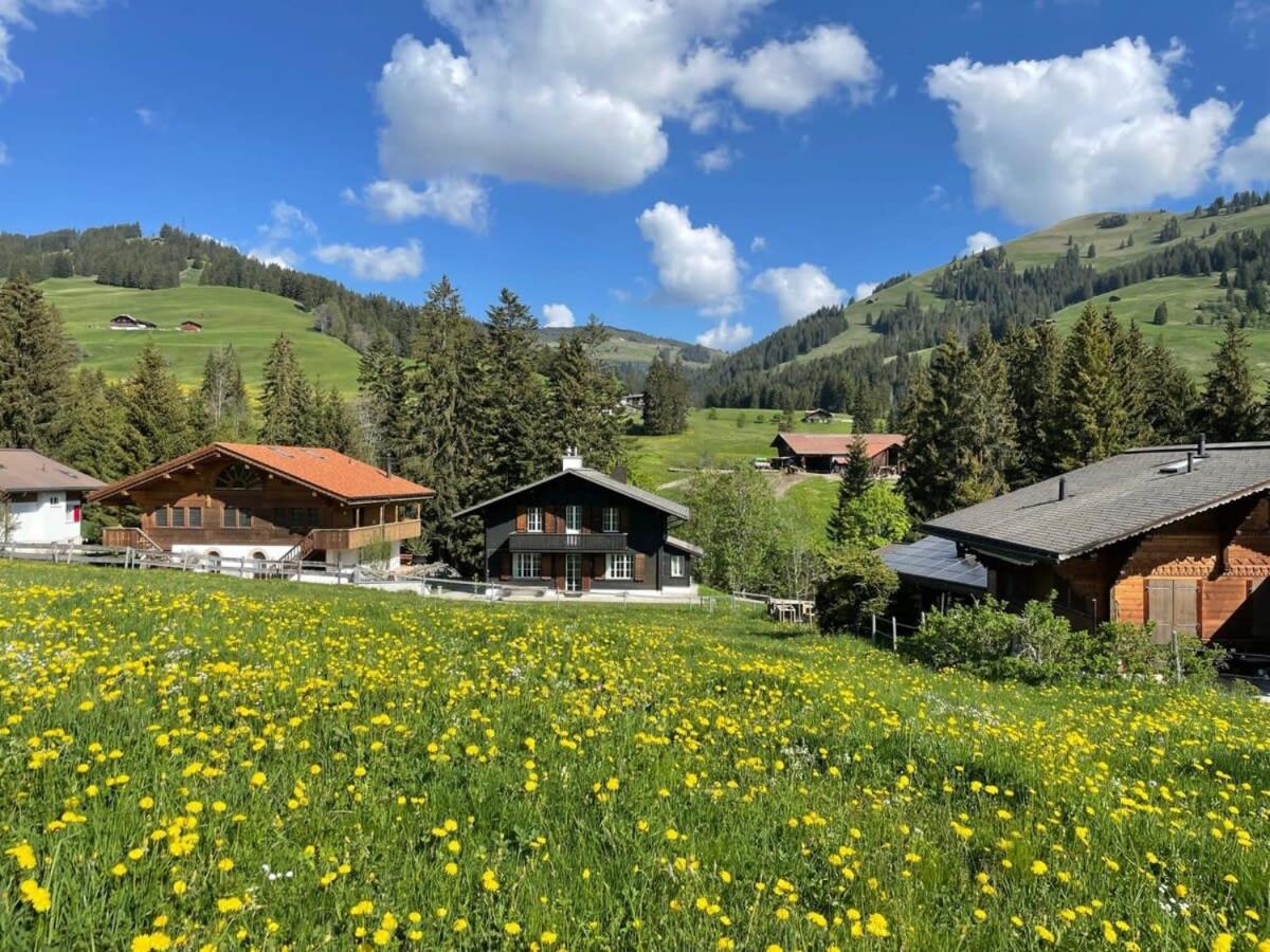 Lovely 4 Bedroom Chalet Great for Ski Holiday