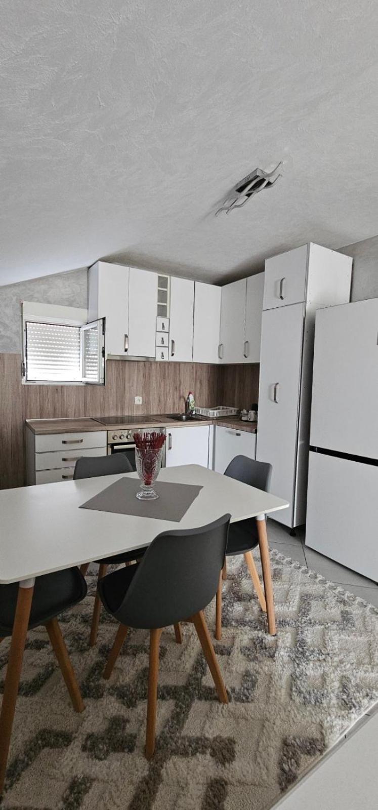 Apartman Aeroport Podgorica view 2