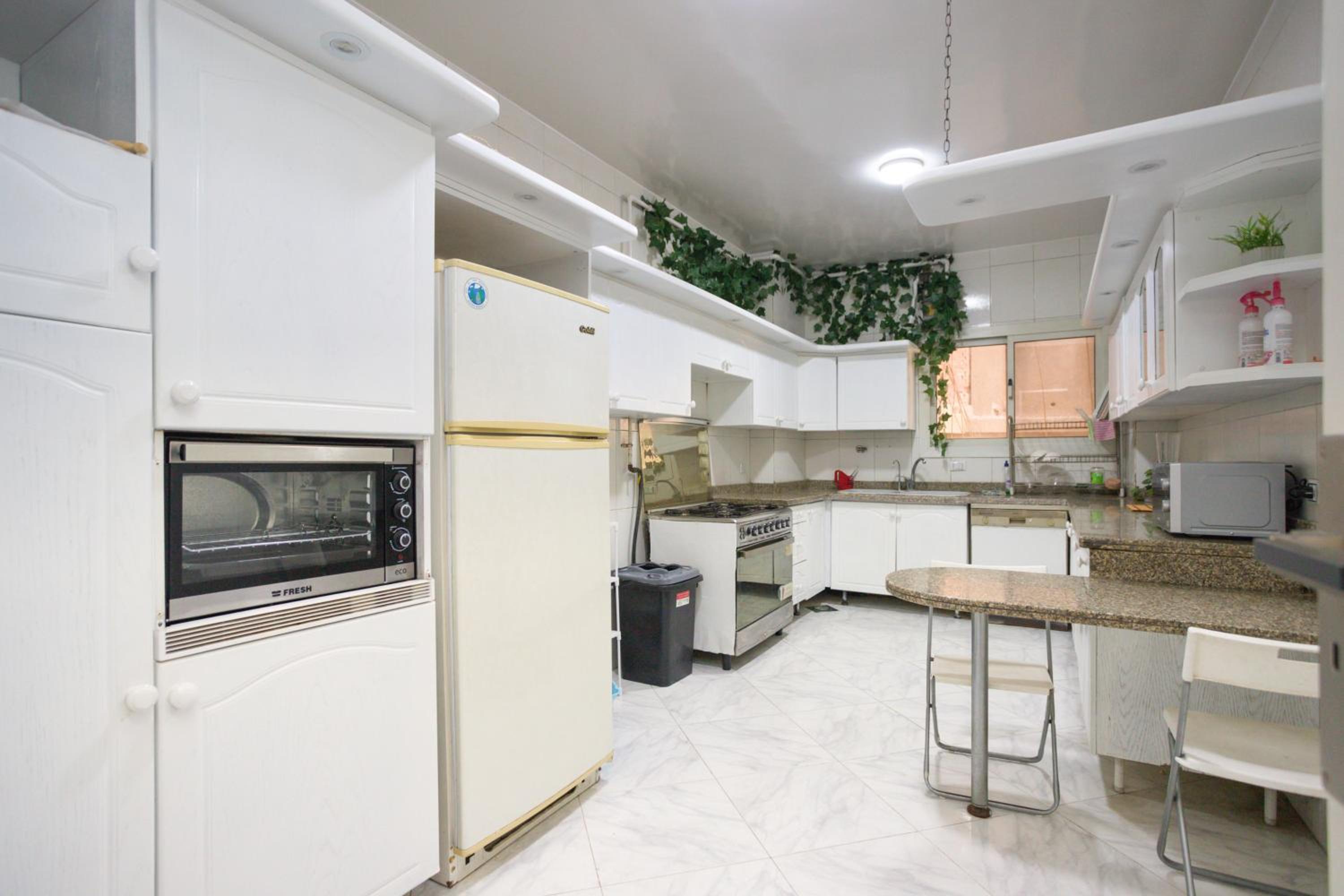 Central Apartment in Mohandseen