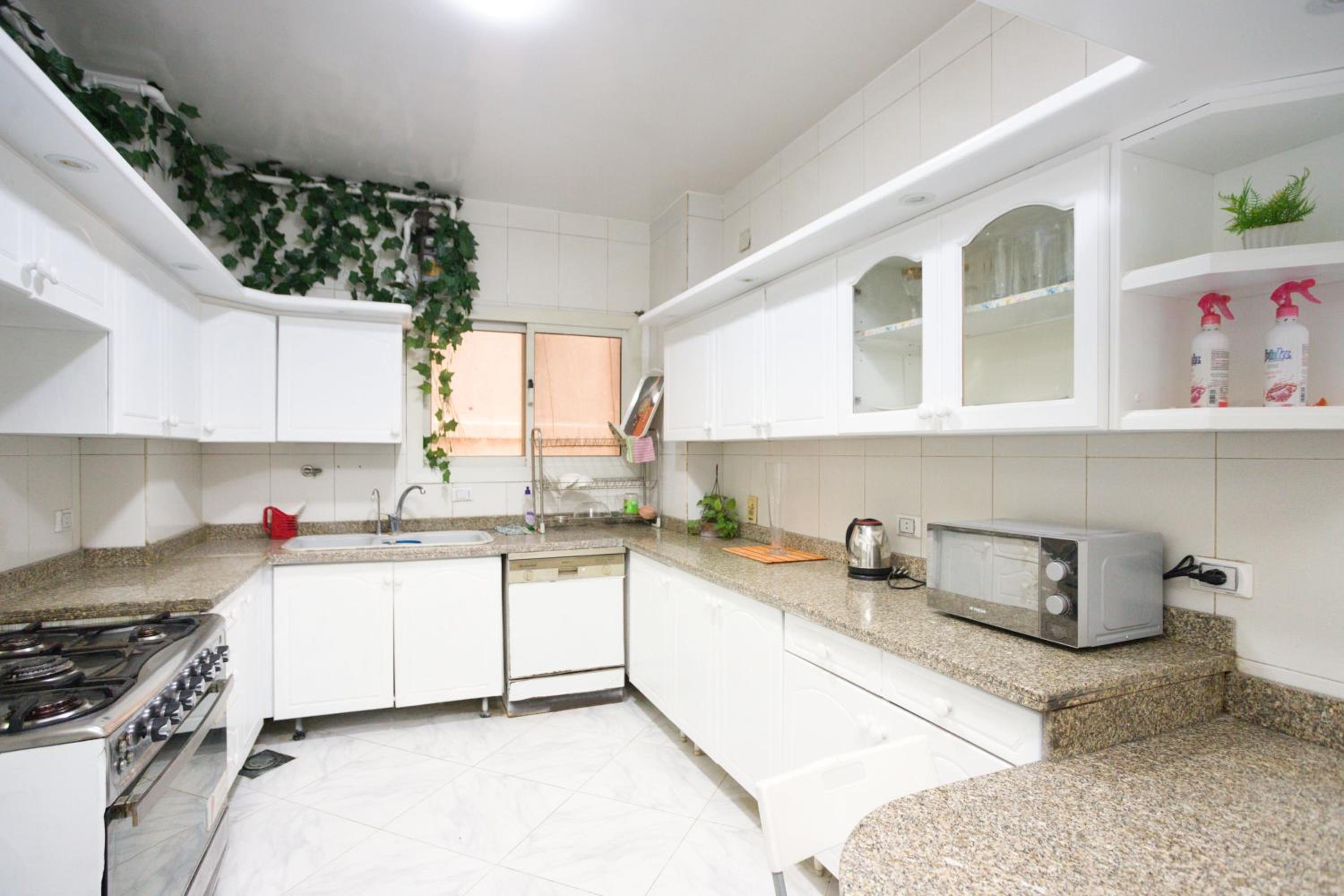 Central Apartment in Mohandseen