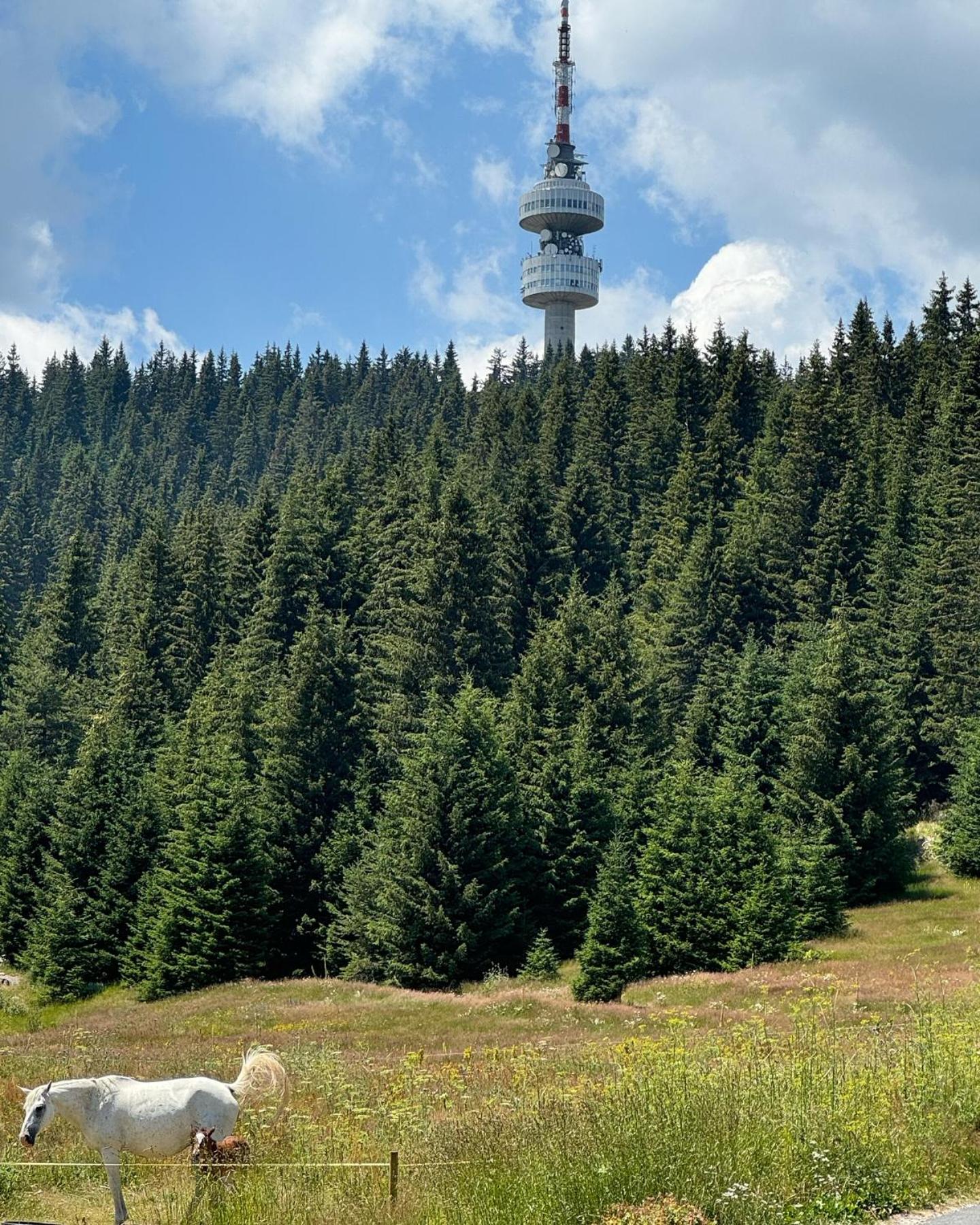 Yanevi Apartments at Grand Monastery Pamporovo