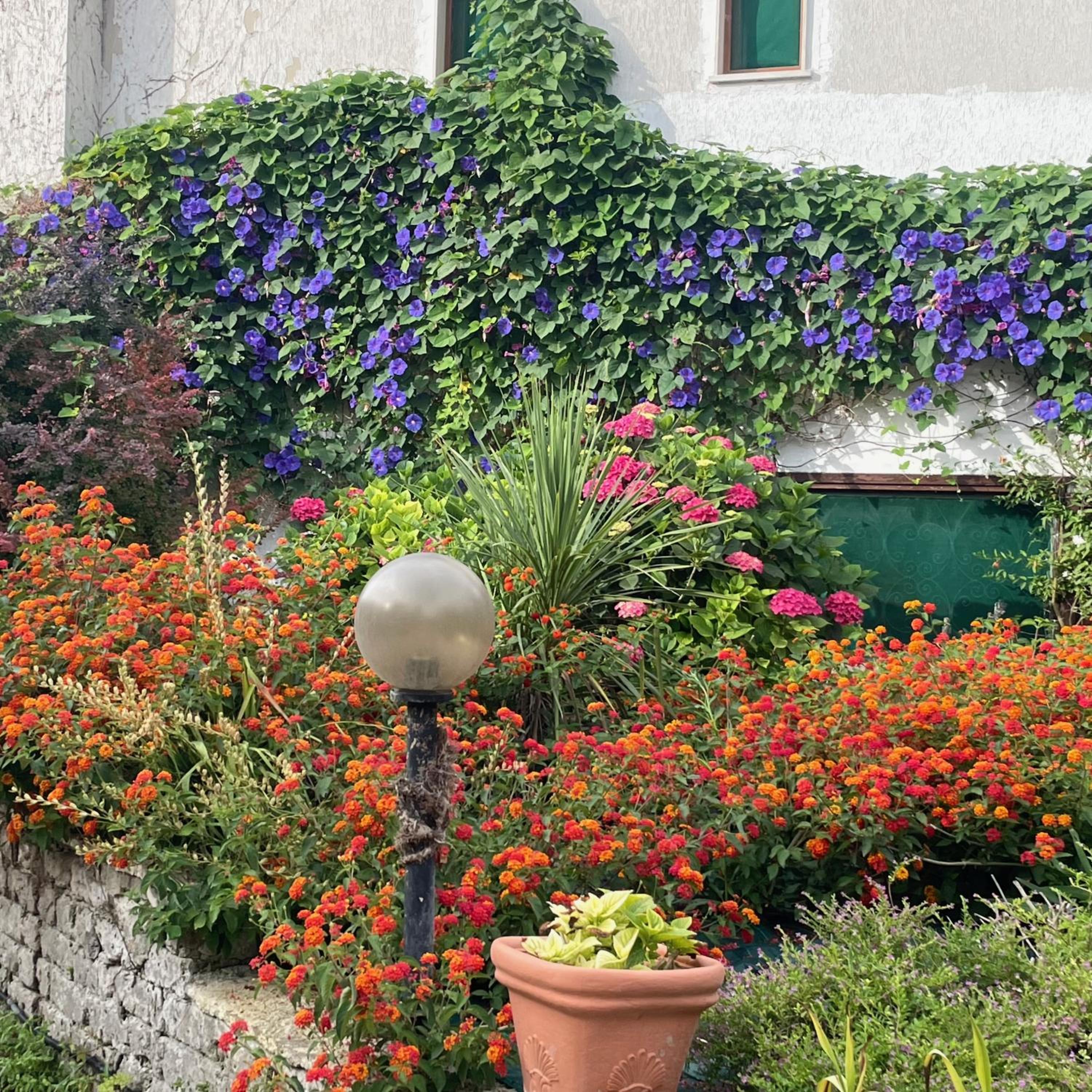 B&B Villa Sans Souci