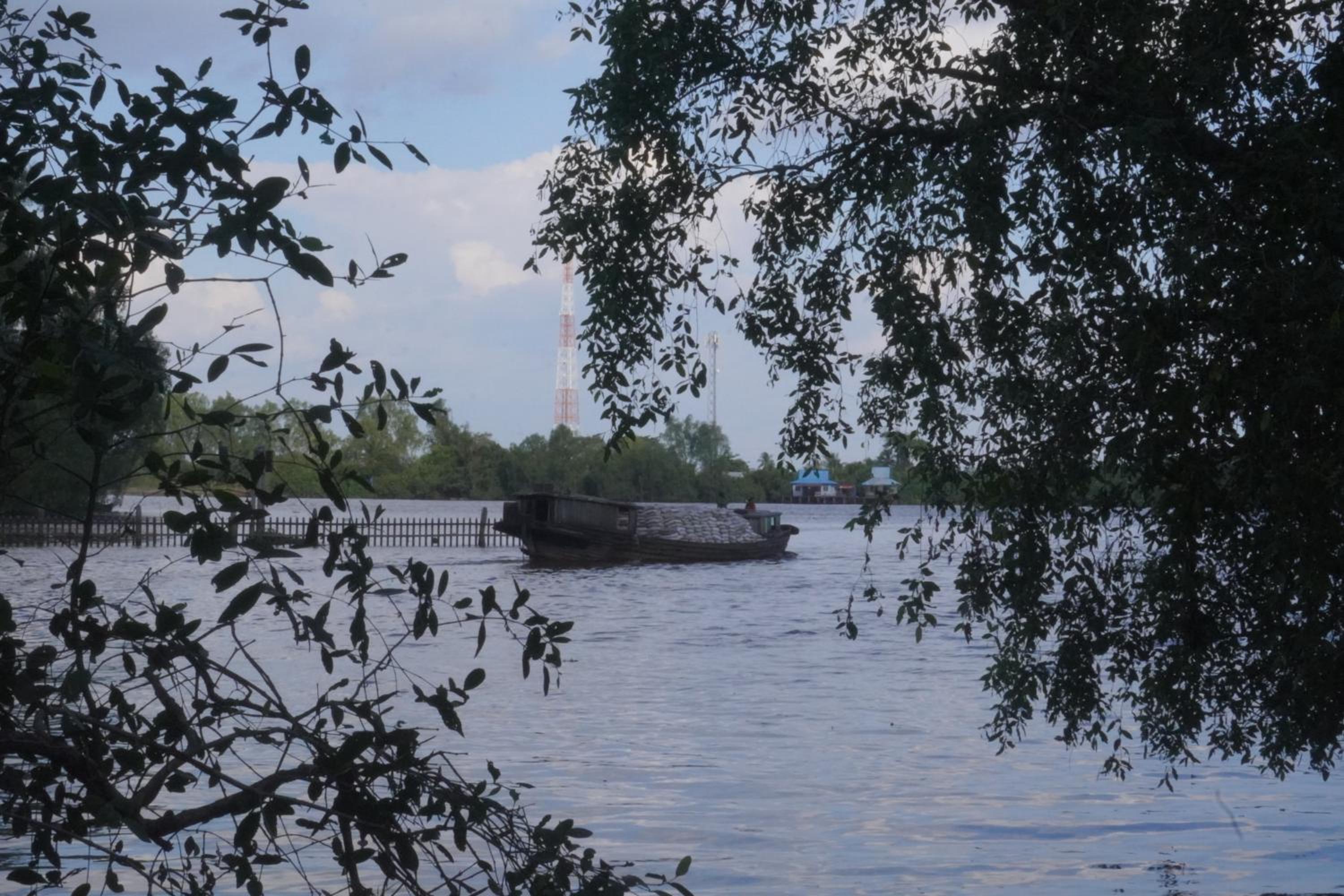 Photo 25