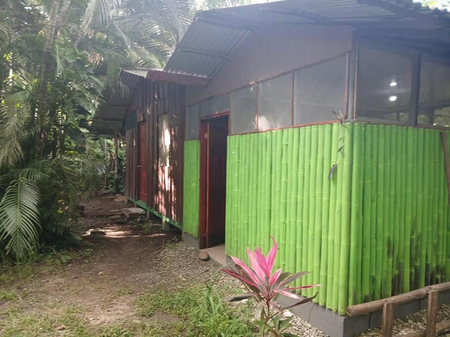 Casa Osa Bella Rayo Verde Two Bedroom