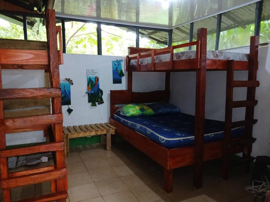 Casa Osa Bella Rayo Verde Two Bedroom