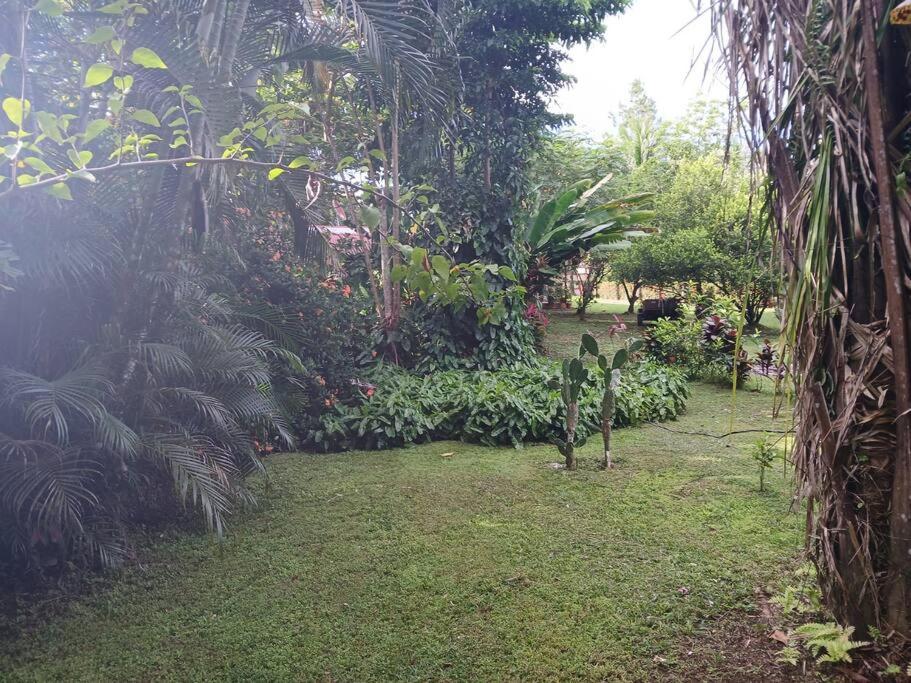 Casa Osa Bella Rayo Verde Two Bedroom