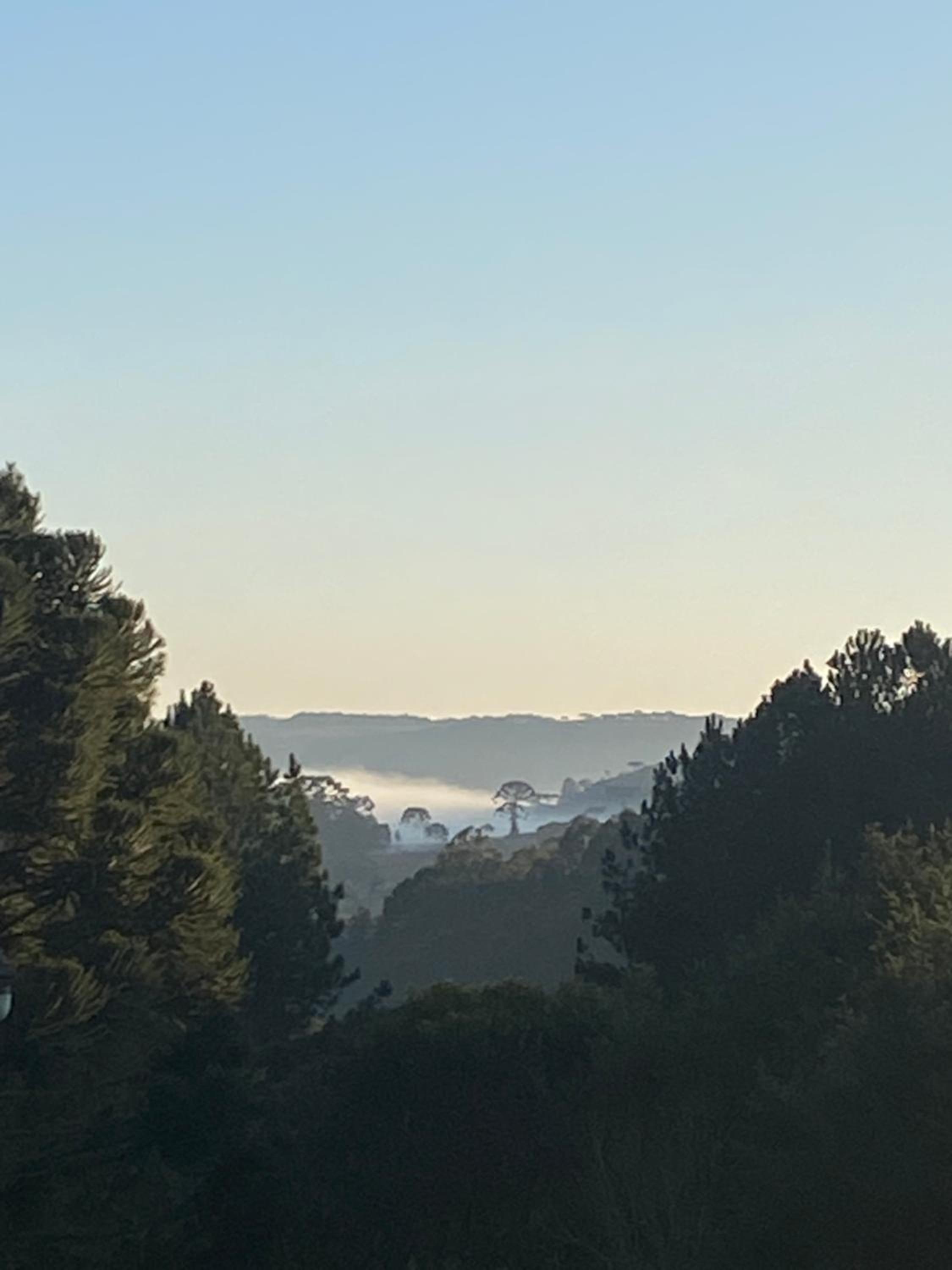 Nova Terra