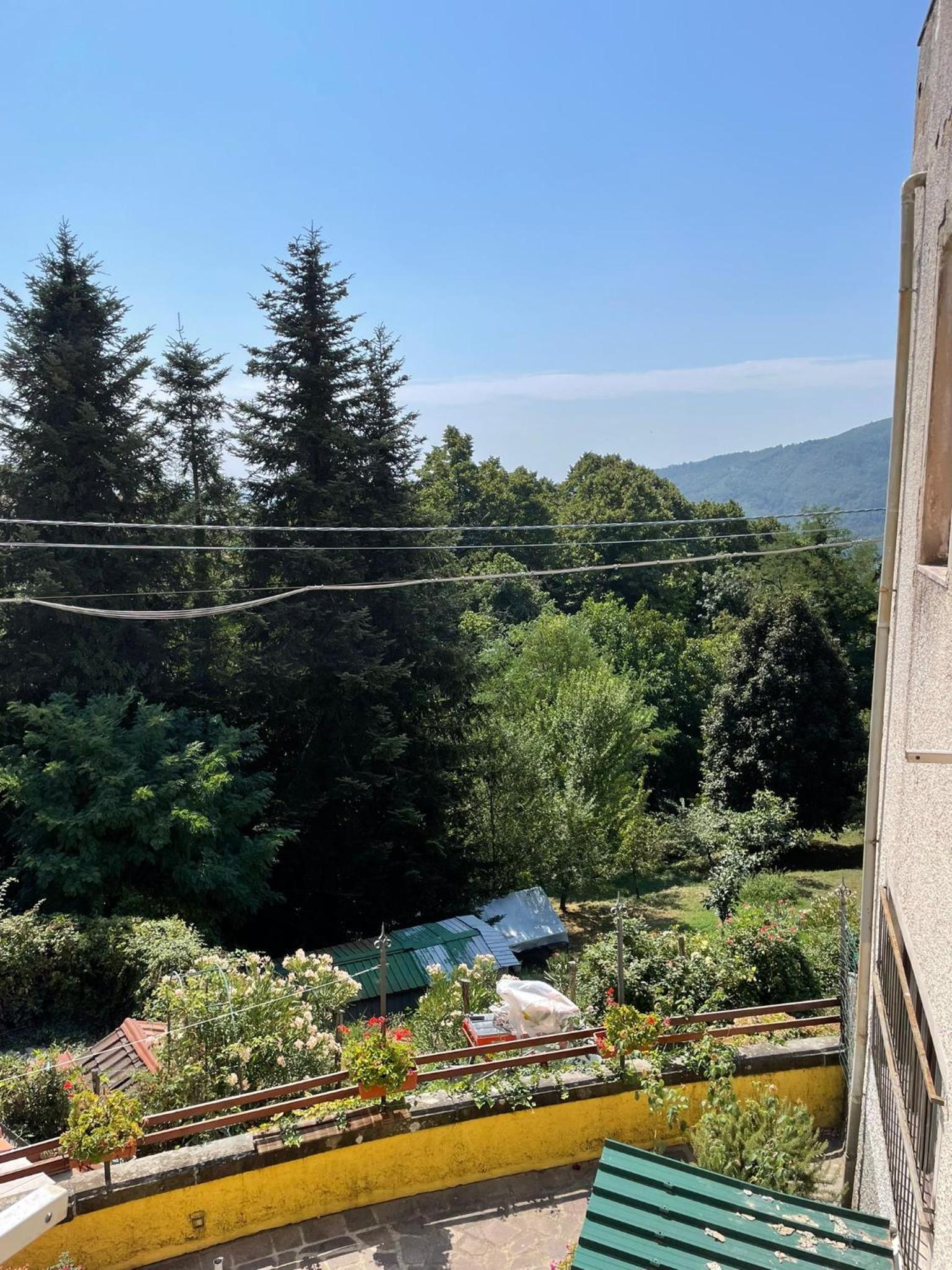 Overlook Cireglio JR
