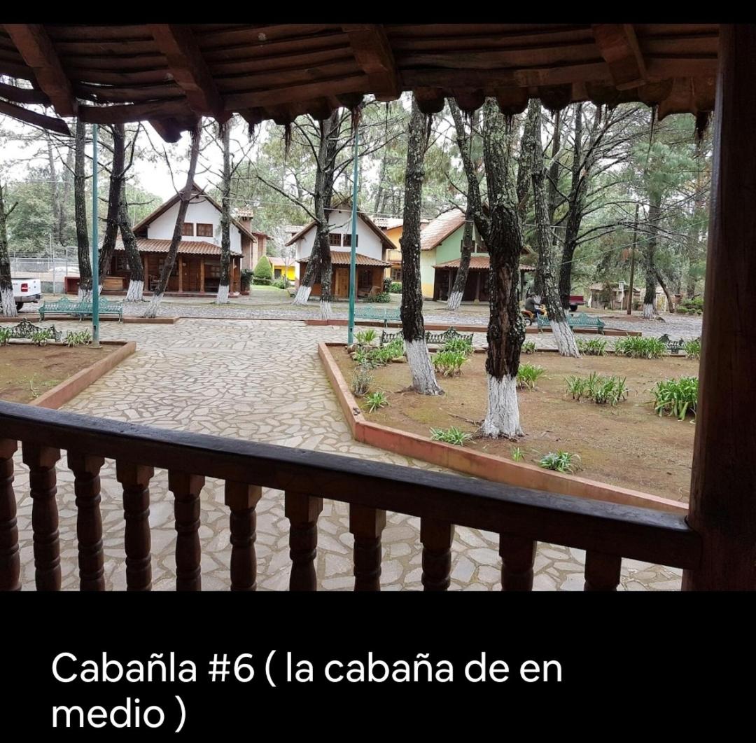 Photo 11