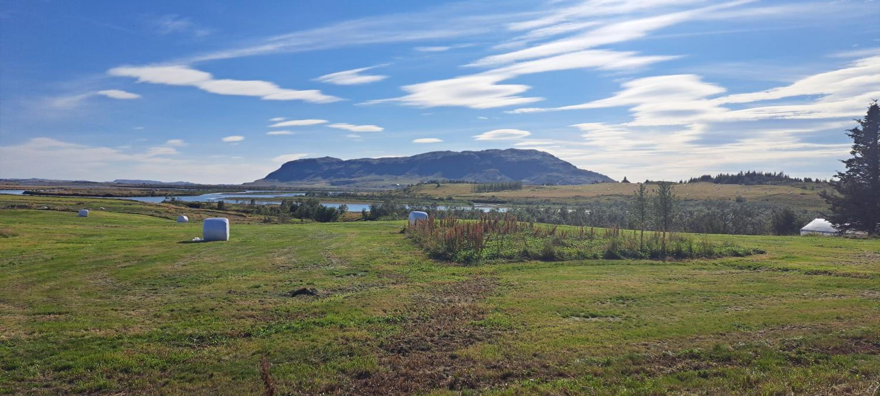 Iceland-Aurora