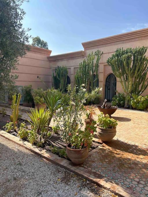 Villa d architecte Marrakech view 3