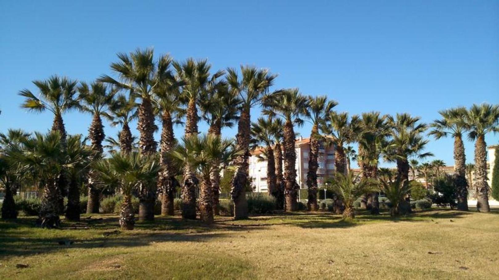 APARTAMENTO TURISTICO ELCANO