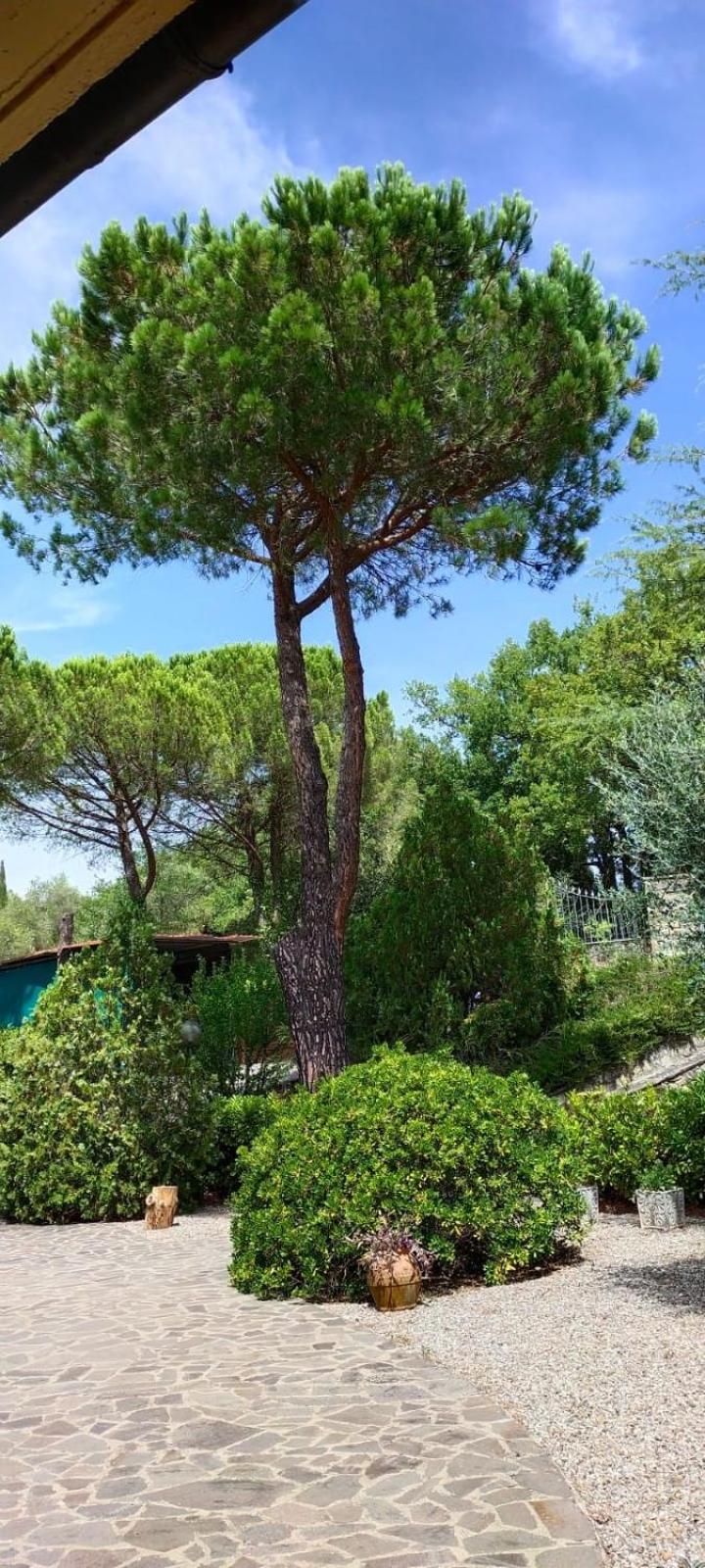 Villa Santa Margherita - La Suvera view 4