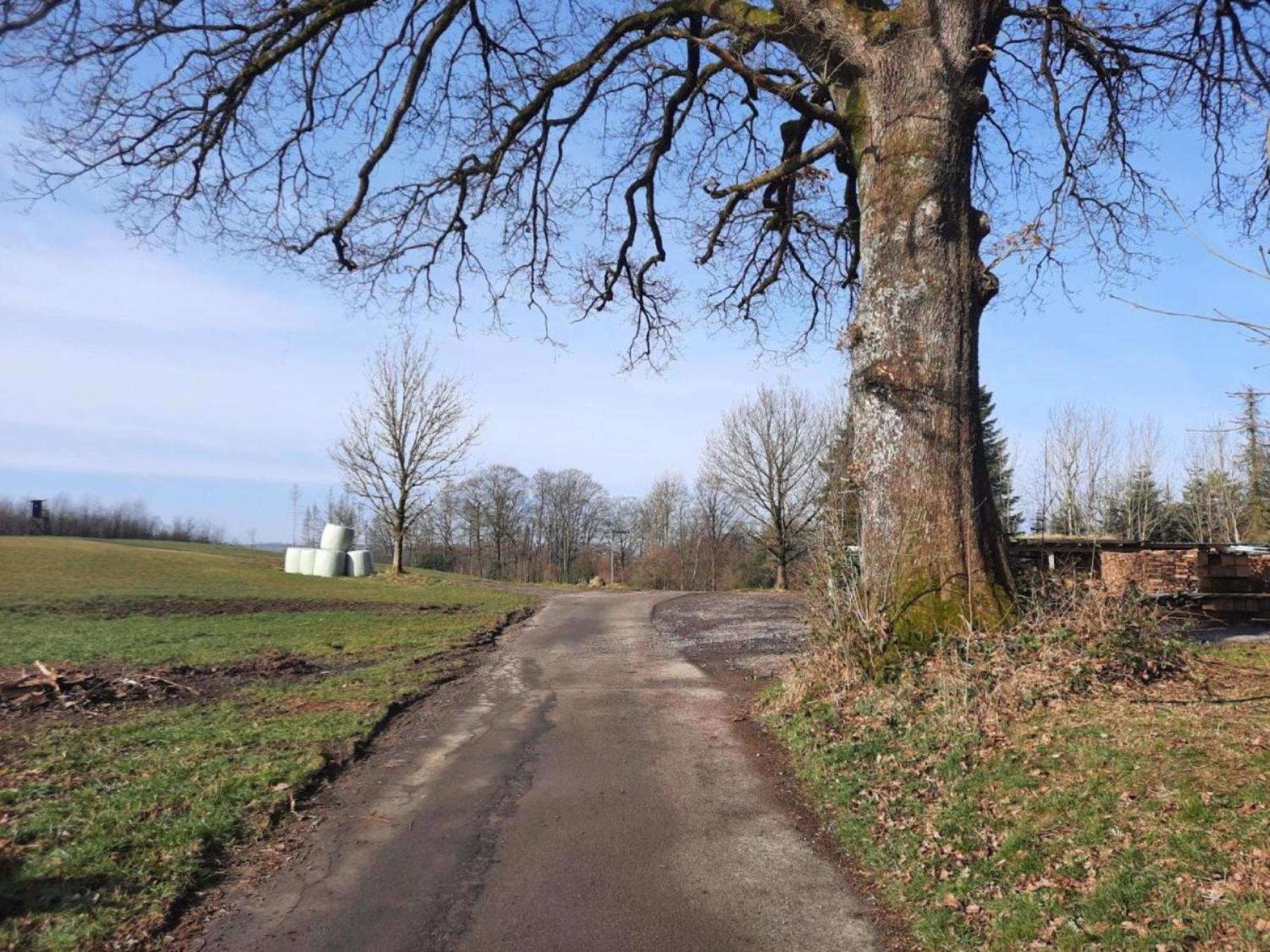 Ferienwohnung Dörflich