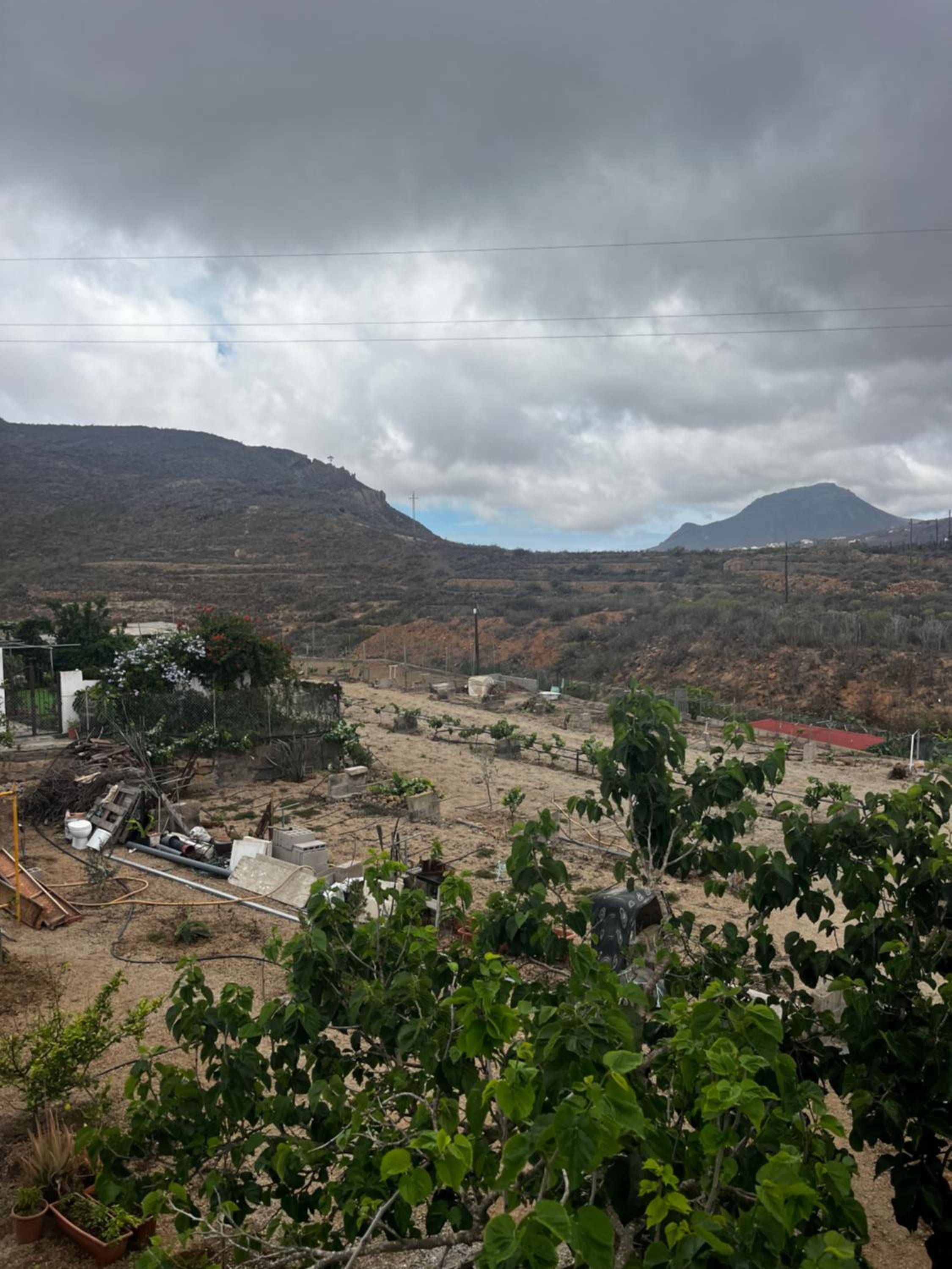 Tantulia la casita del Caballo