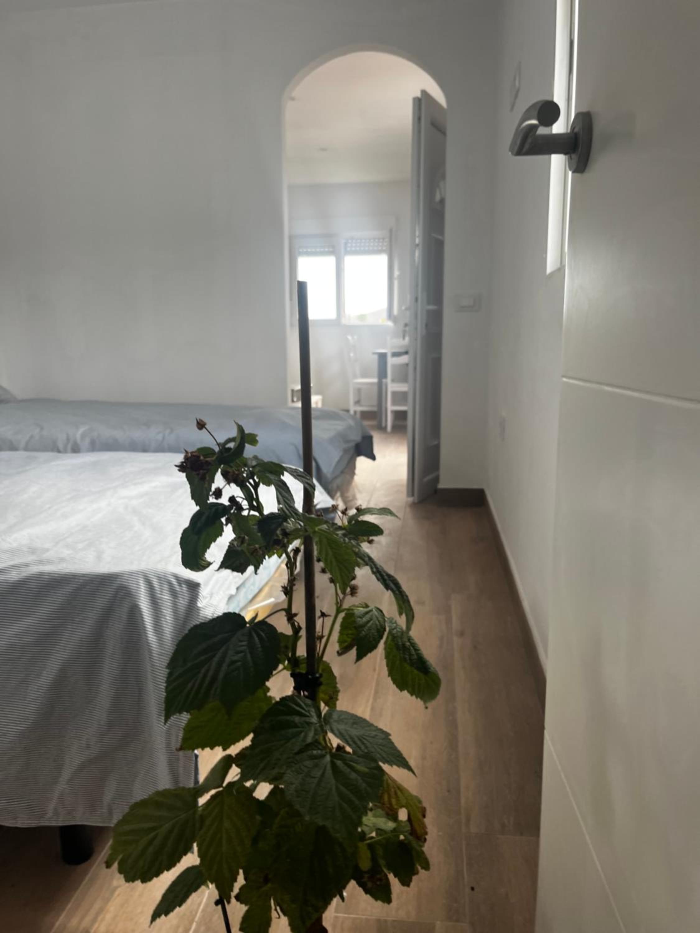 Tantulia la casita del Caballo