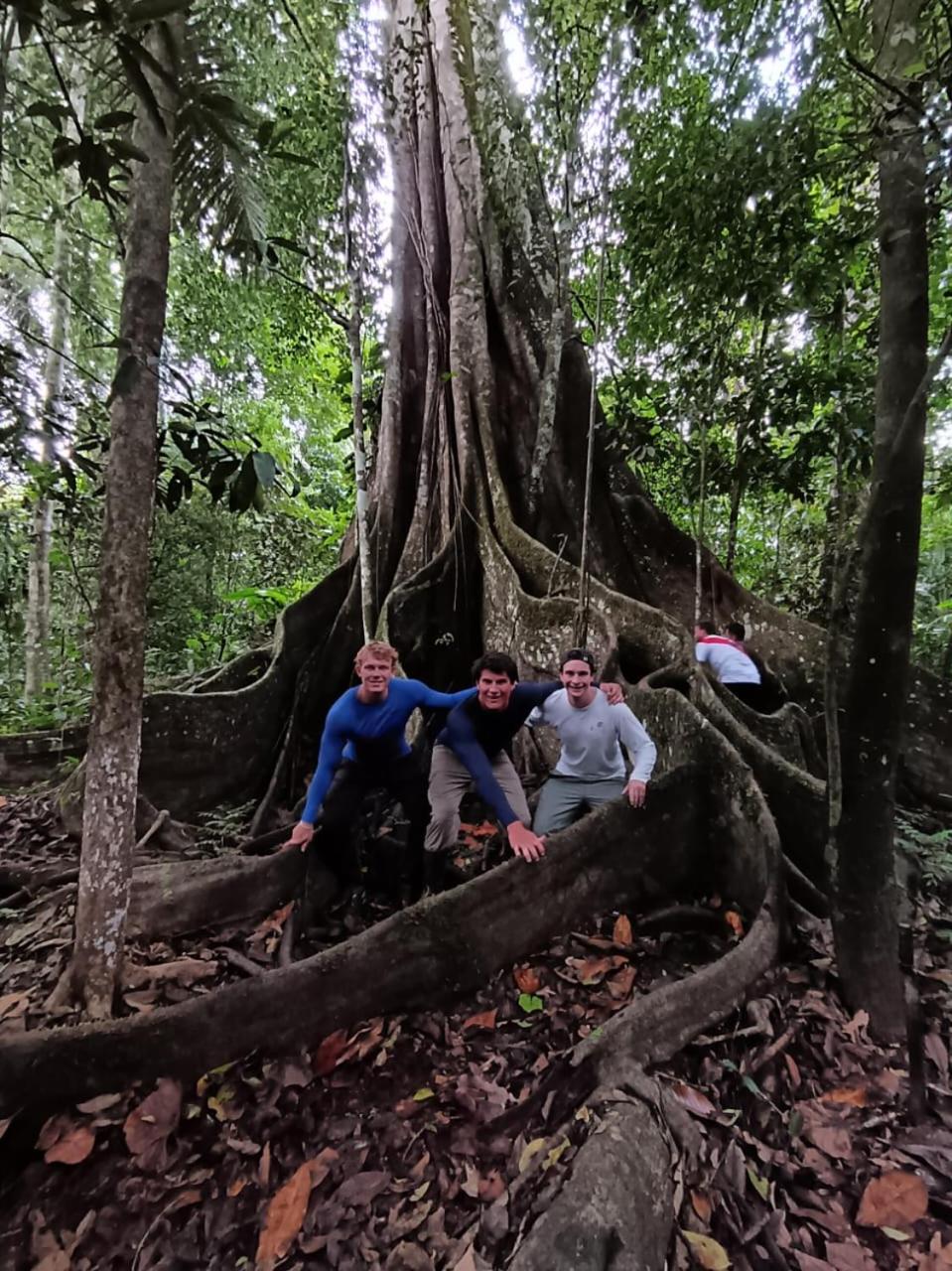 Amazon Jaguar Adventure & Lodge view 4