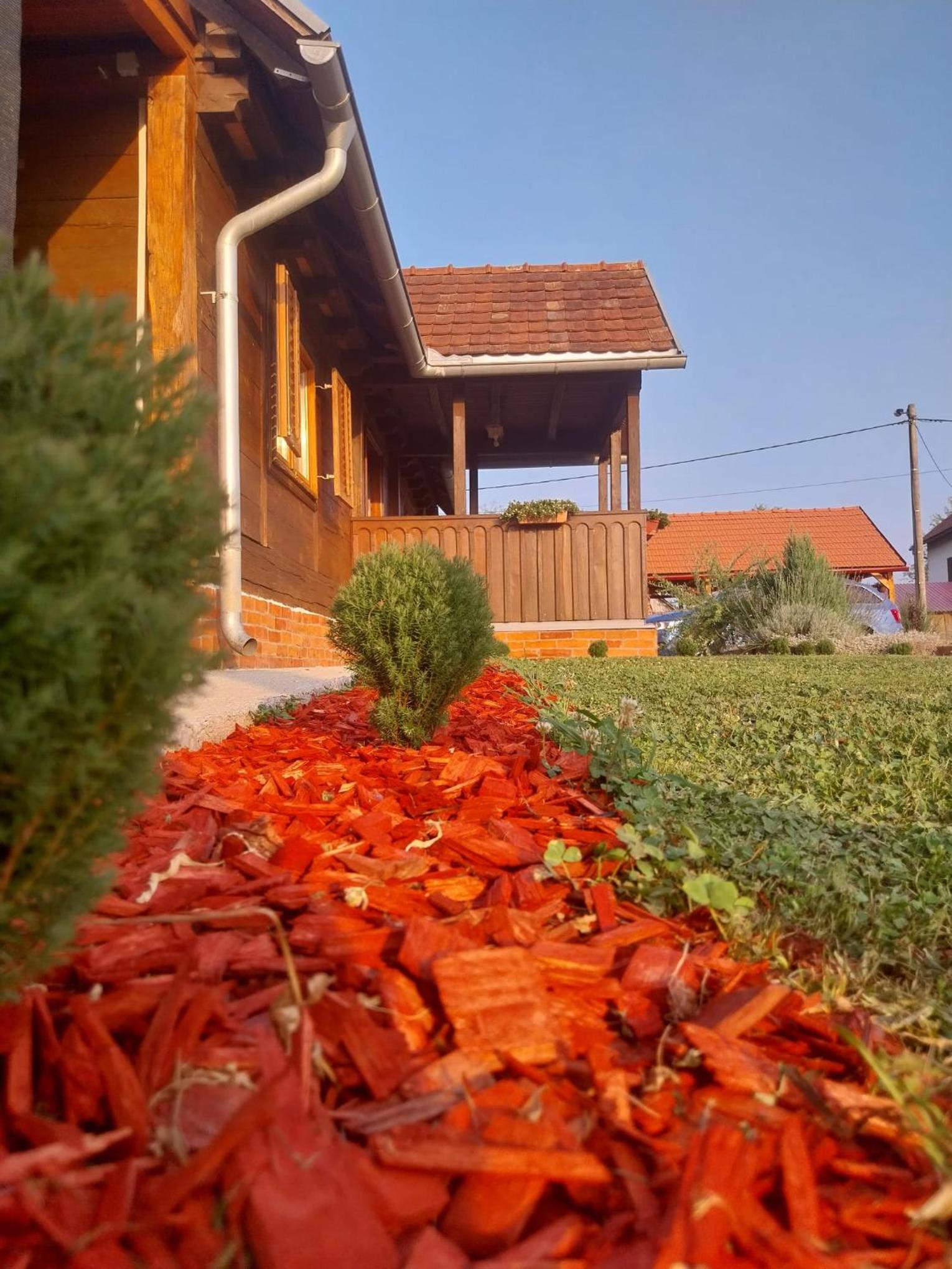 Photo 47