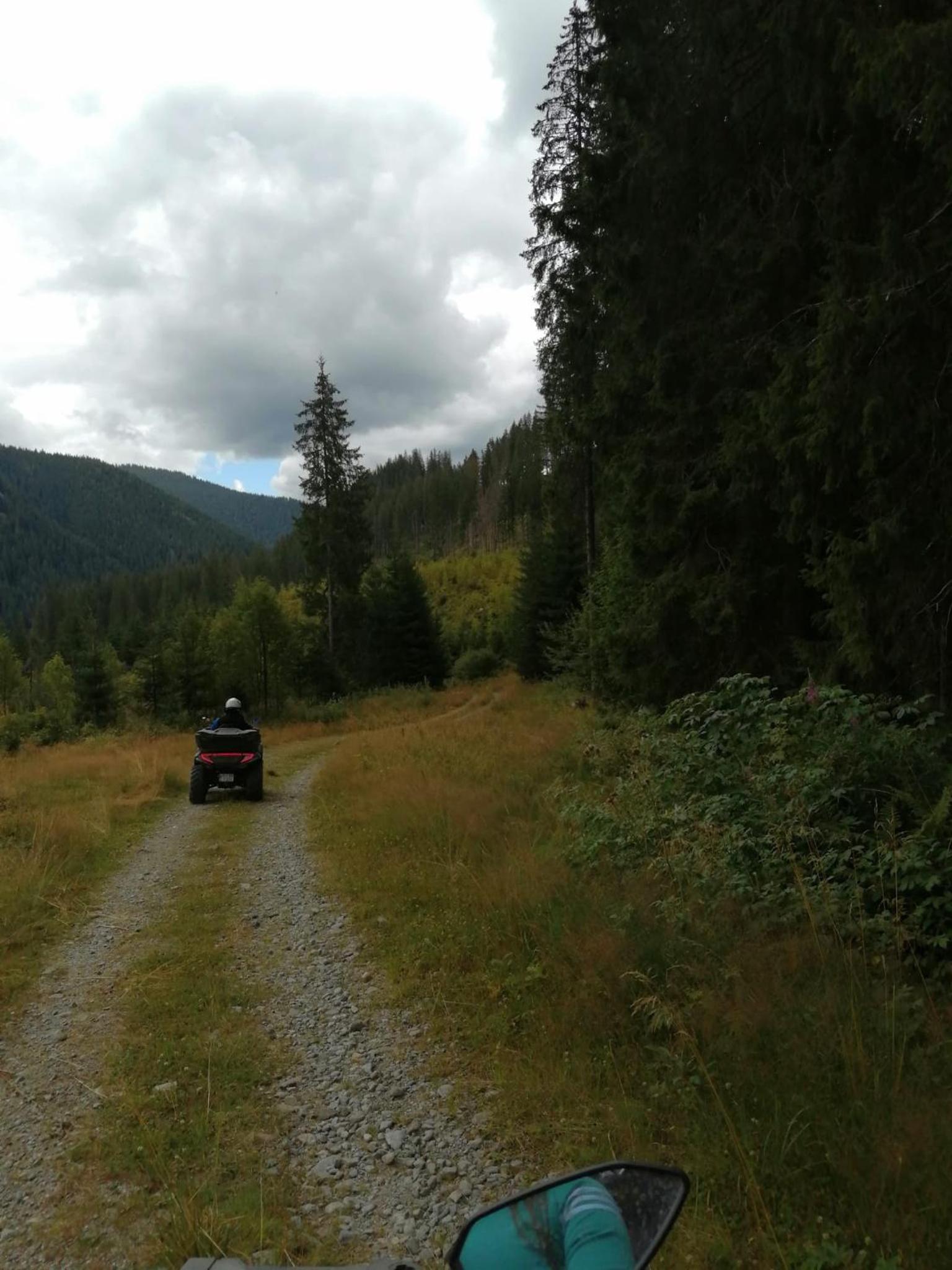 Photo 45