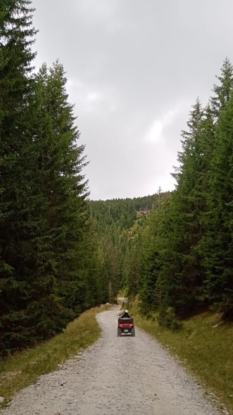 Photo 46