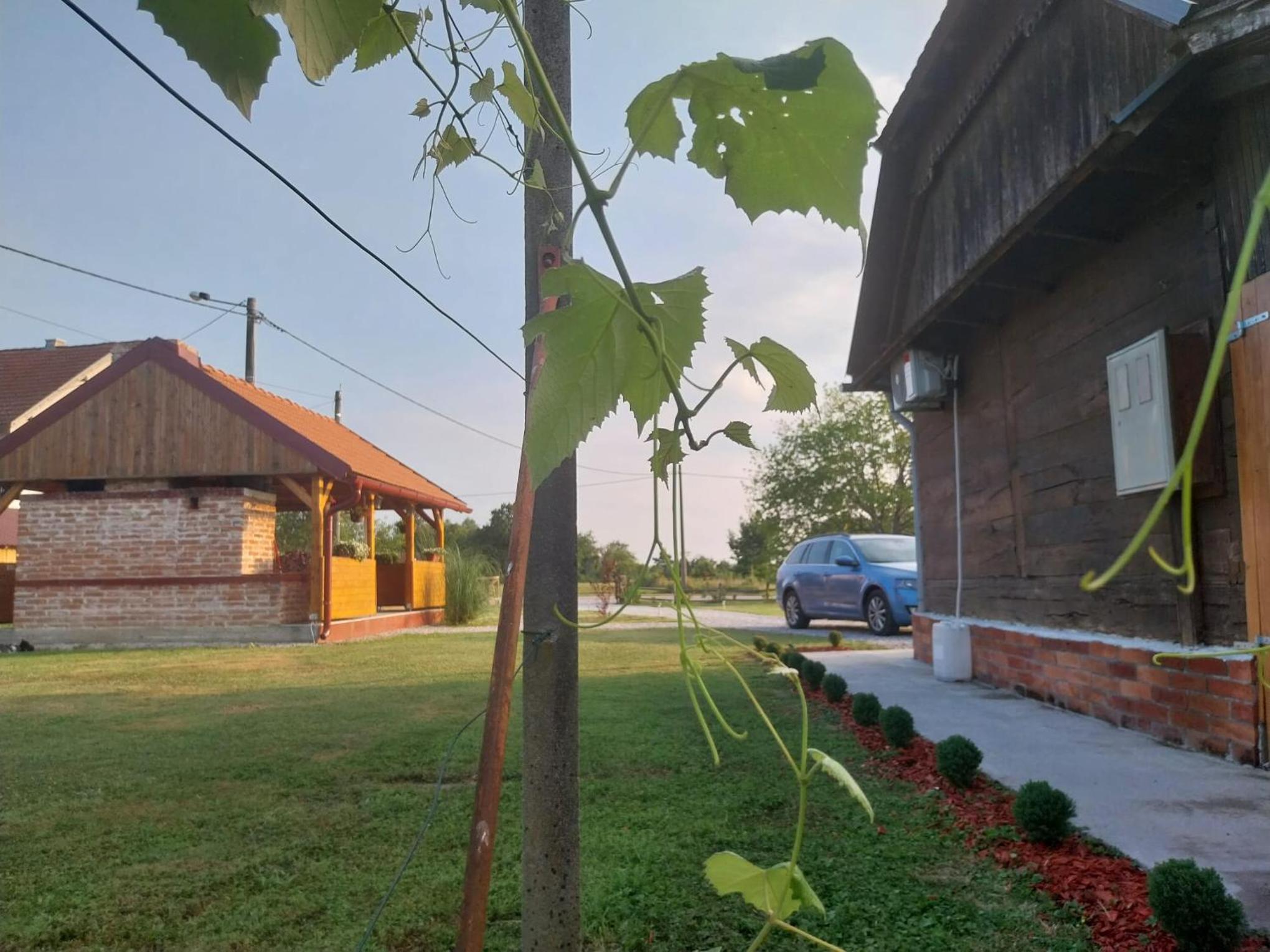 Photo 22