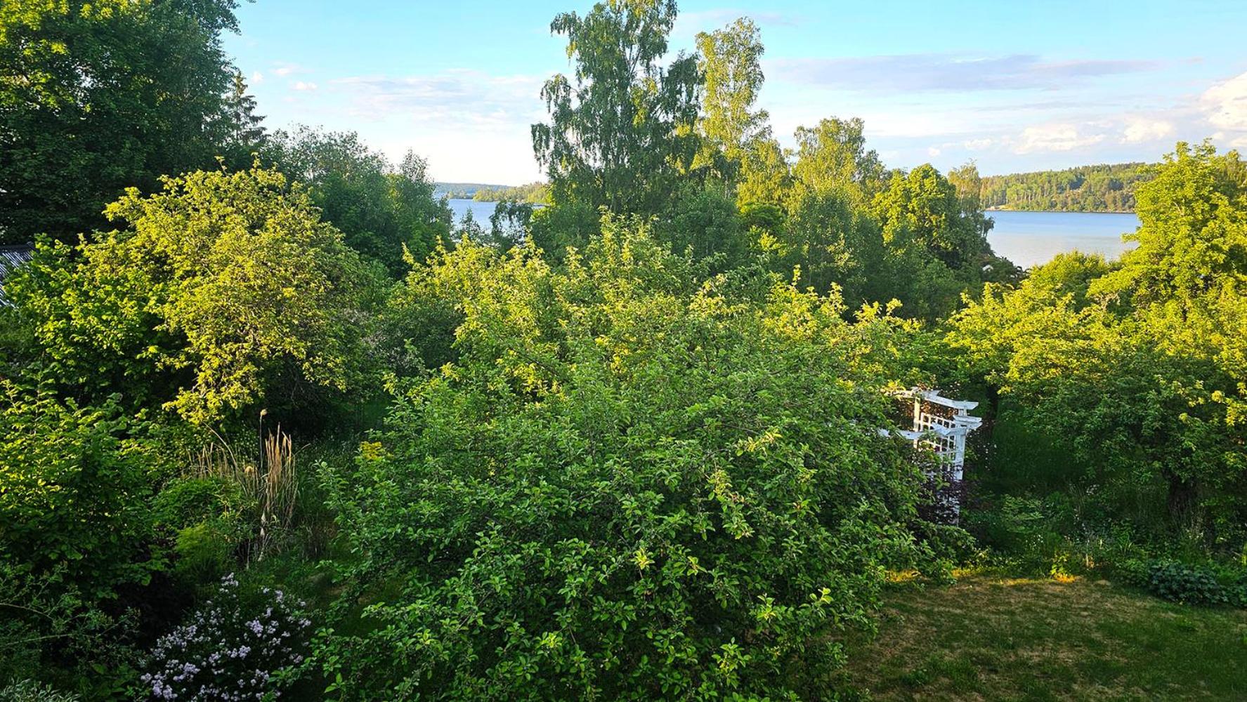 Photo 21