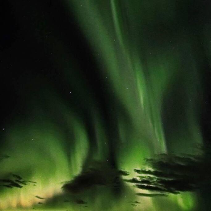 Iceland-Aurora