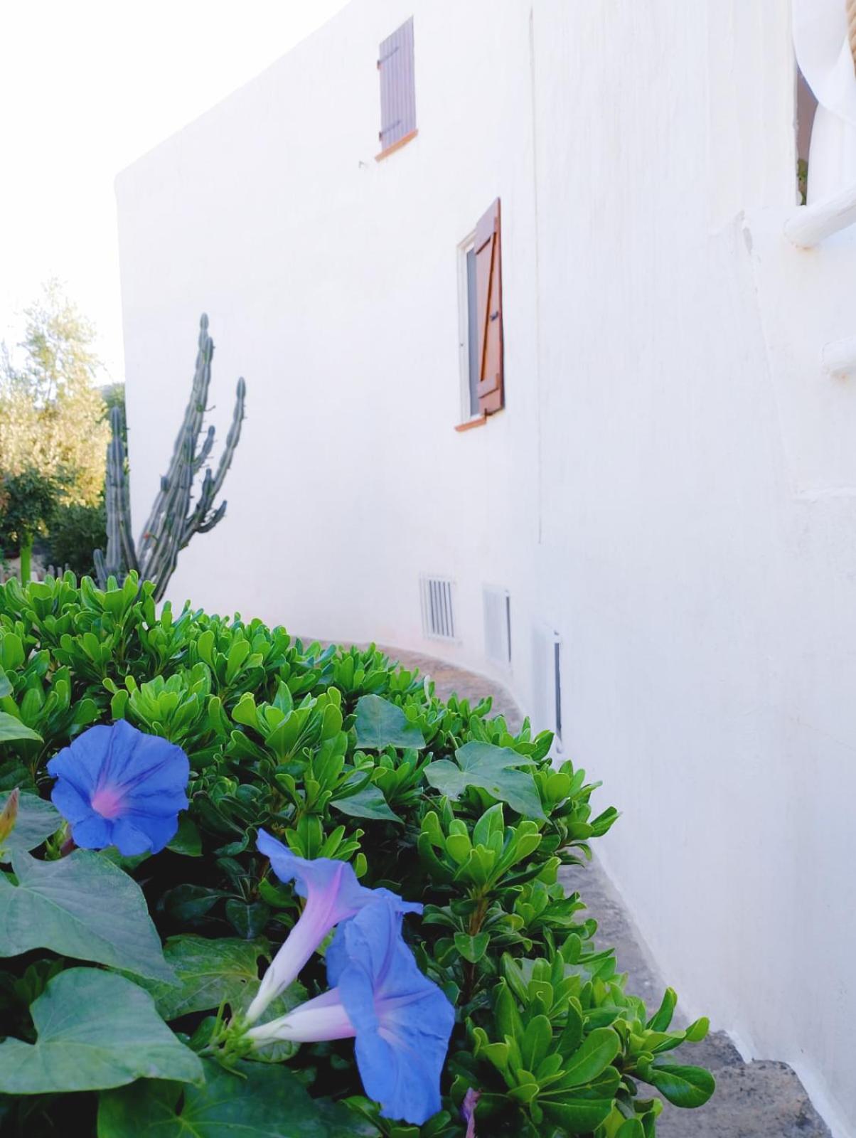 Villa Anna 300 m dal mare