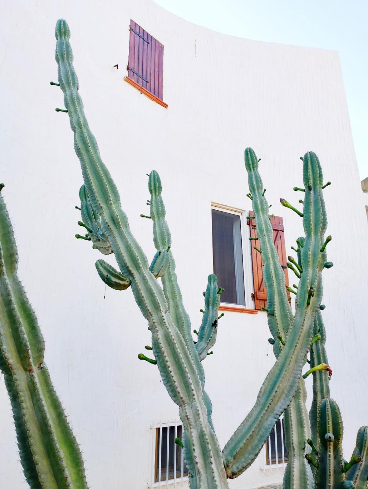 Villa Anna 300 m dal mare