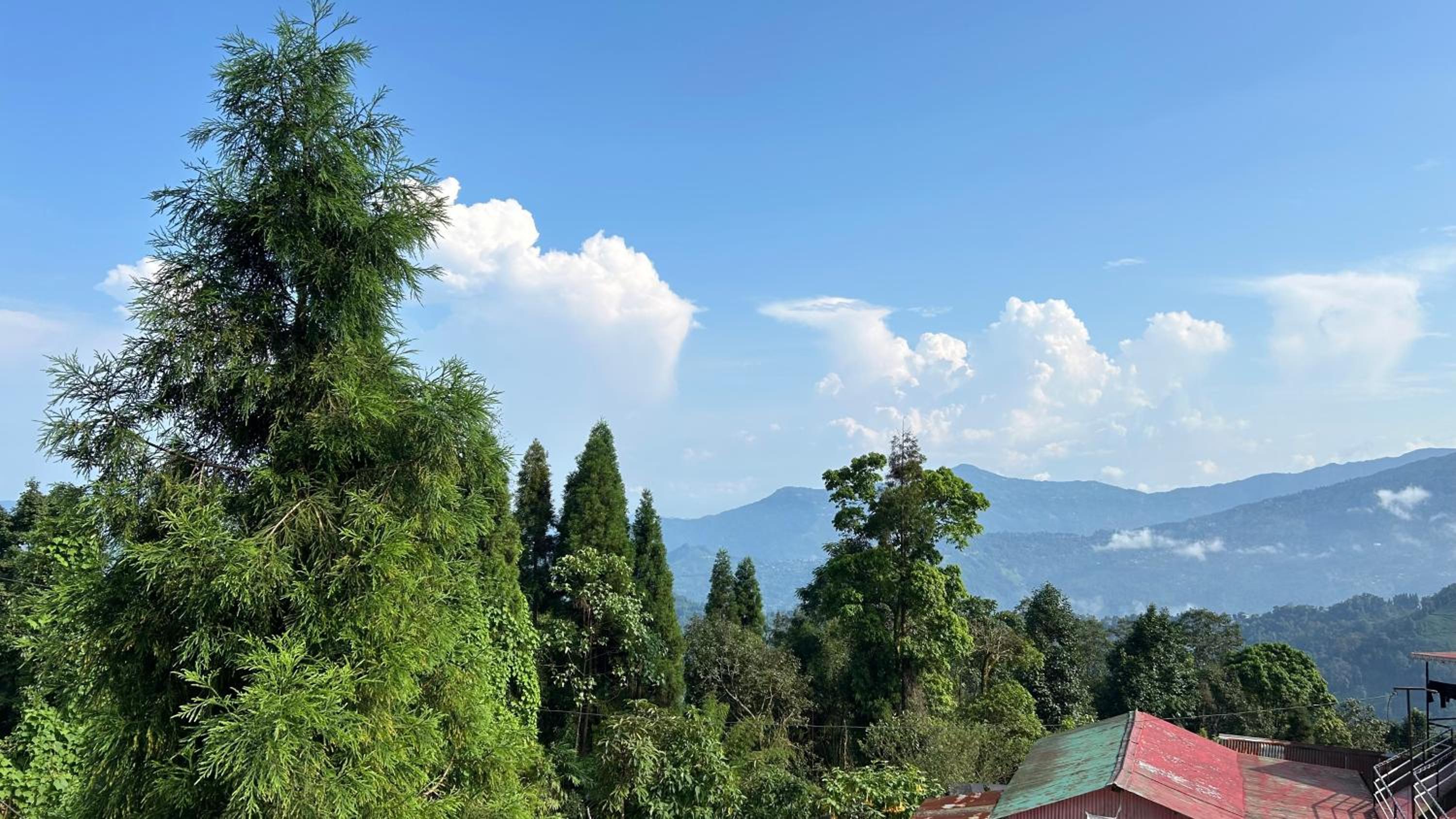 Bhumika Homestay