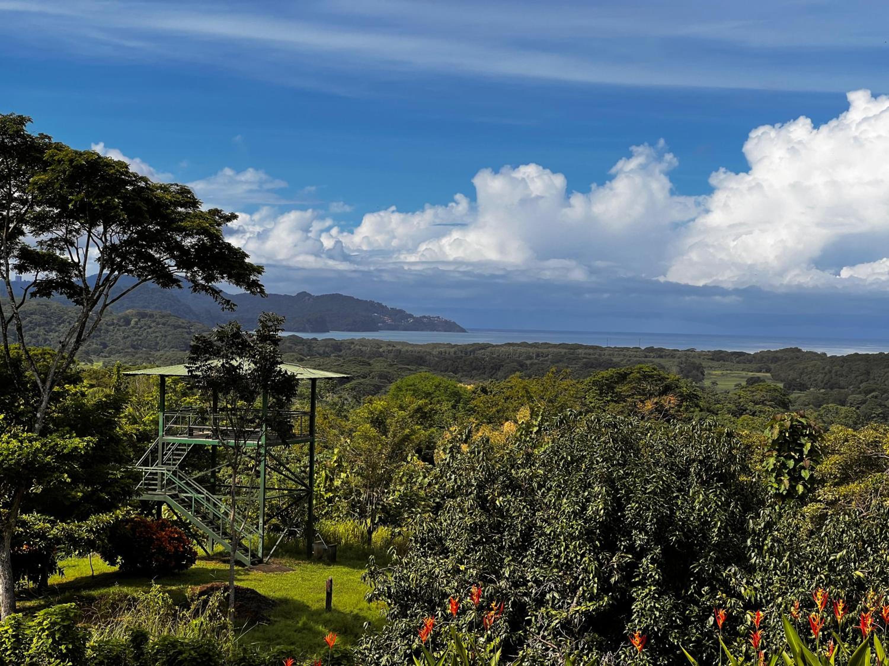 Tarcoles Birding Lodge