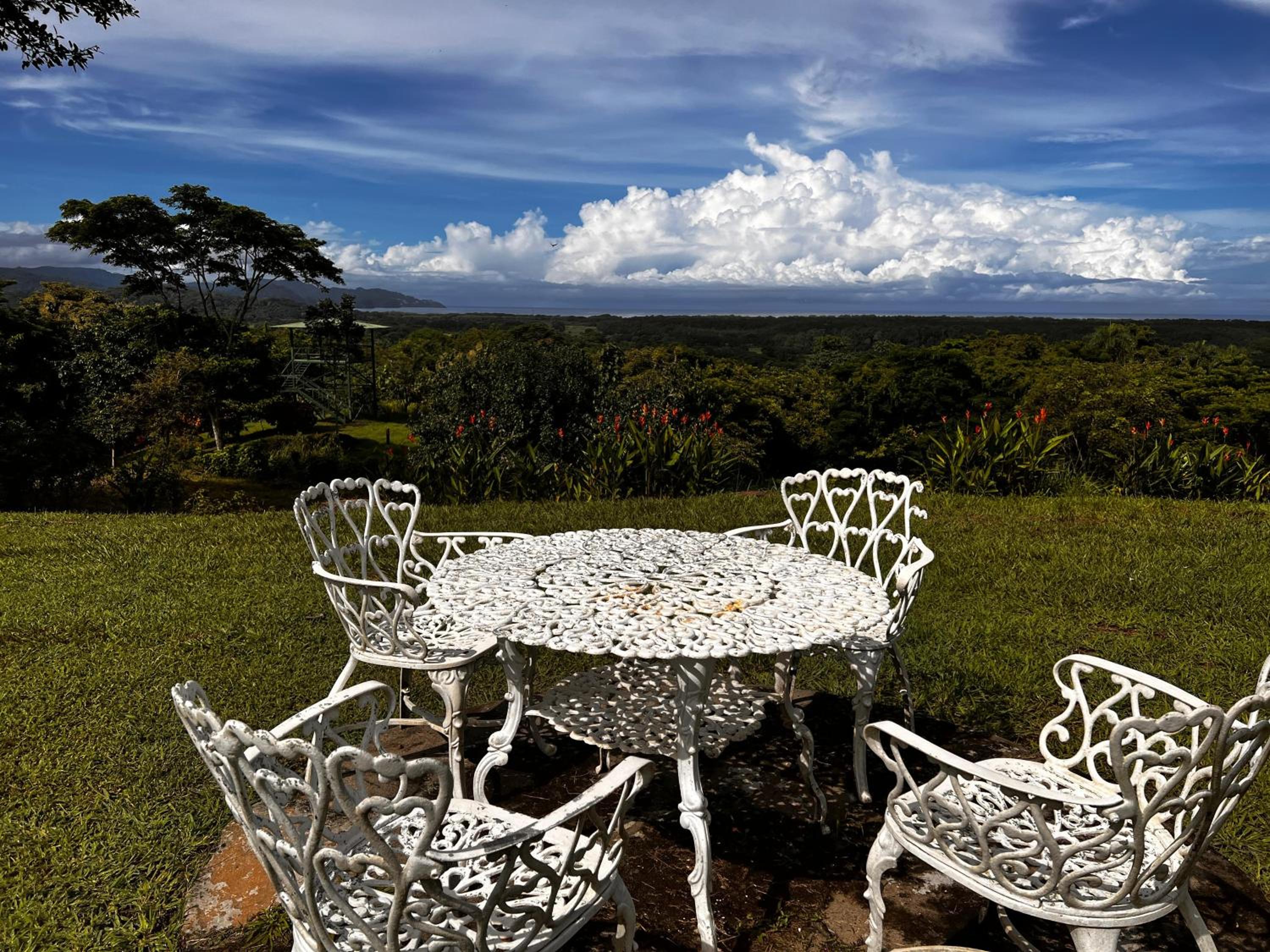 Tarcoles Birding Lodge