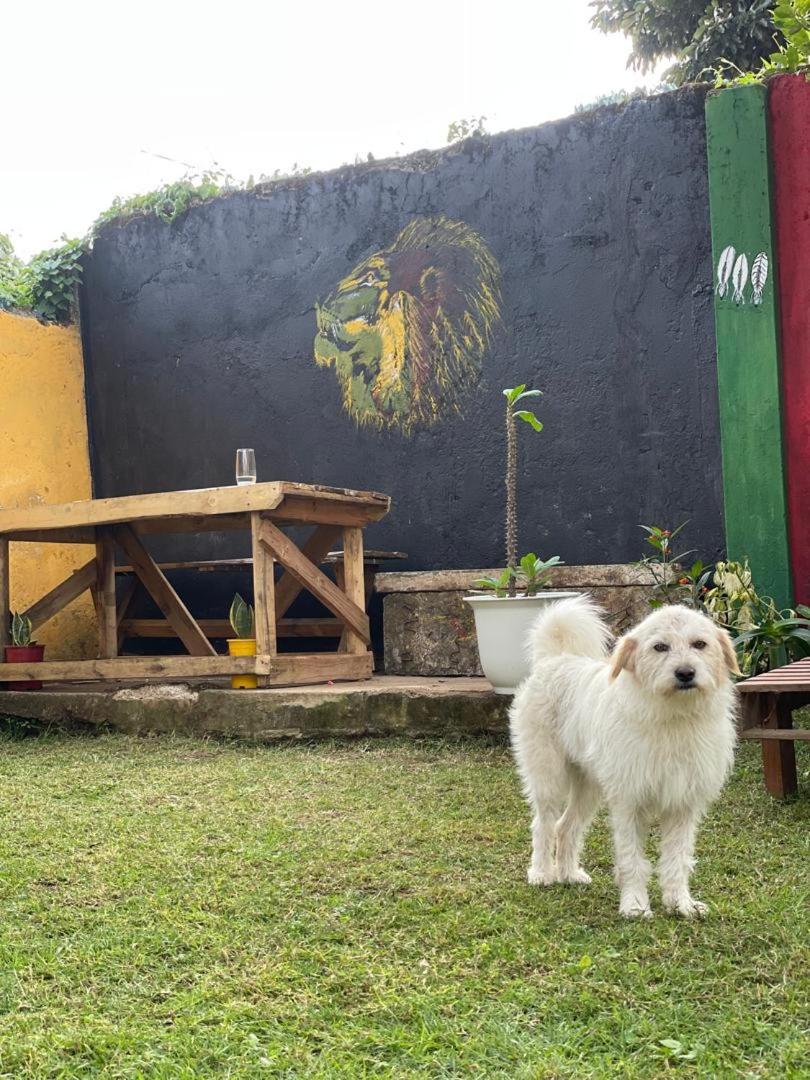 Uhuru Homestay