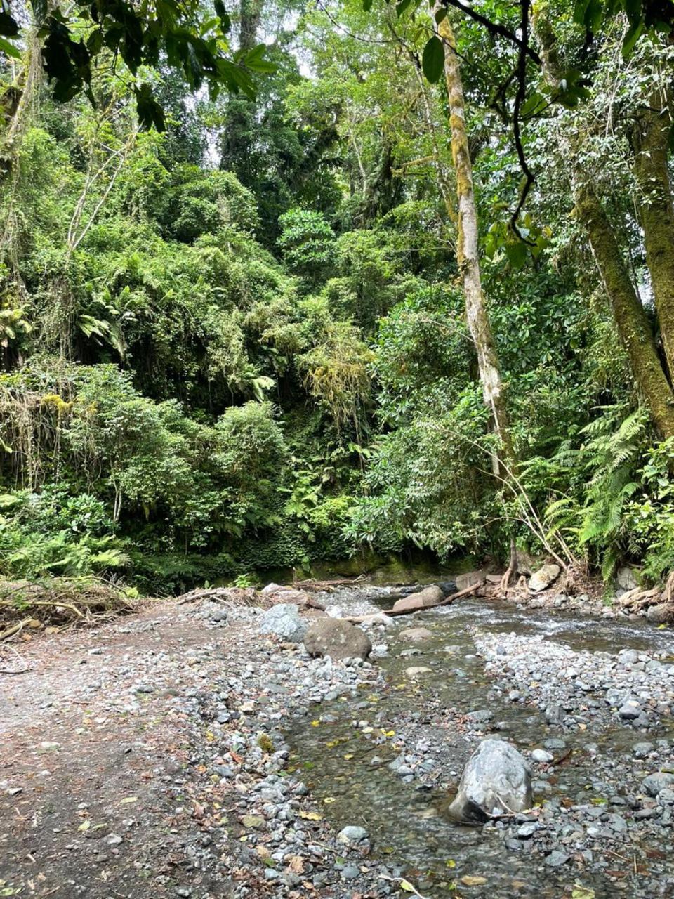 Uhuru Homestay