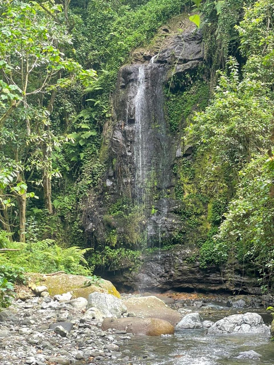 Uhuru Homestay