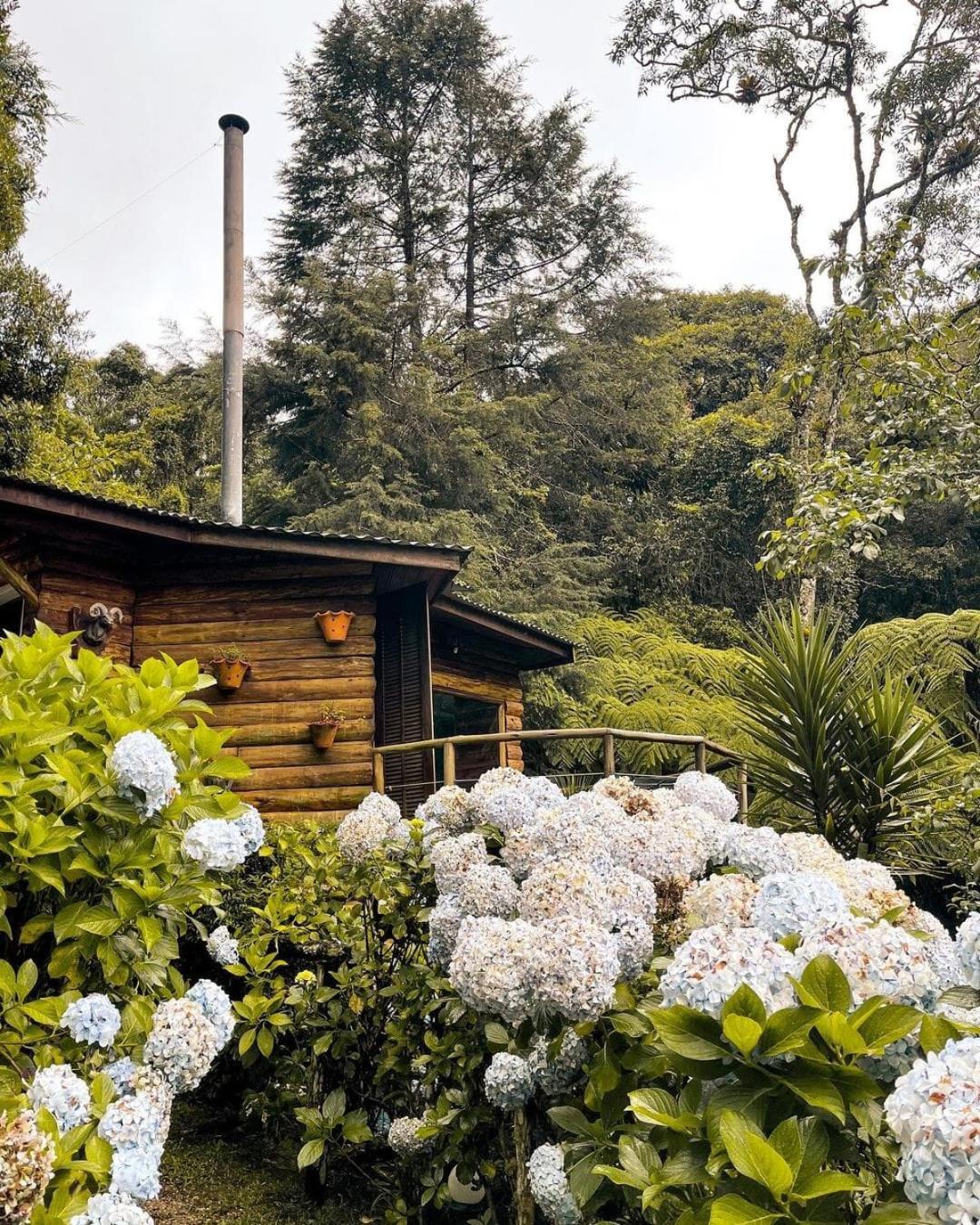 Suítes Uma Ilha na Montanha