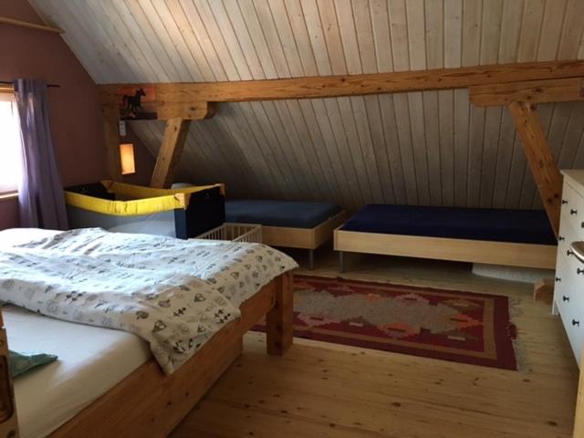 Farbige Wohnung Zentral