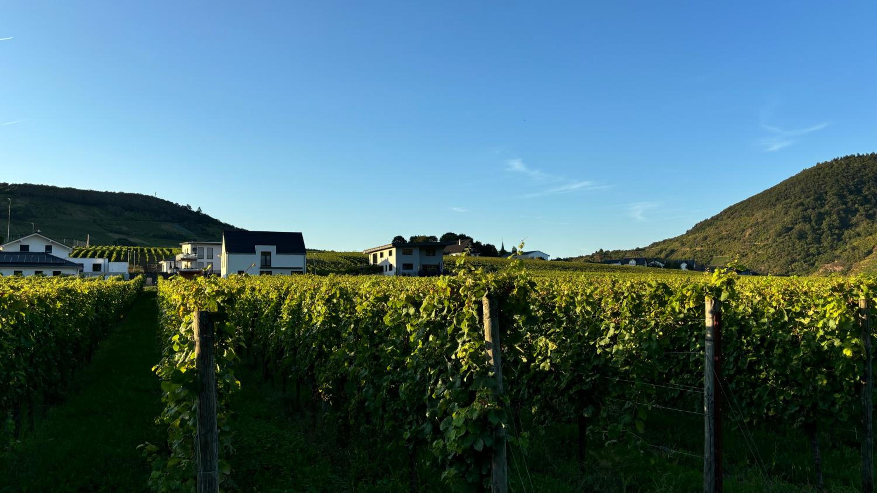 Haus im Weinberg