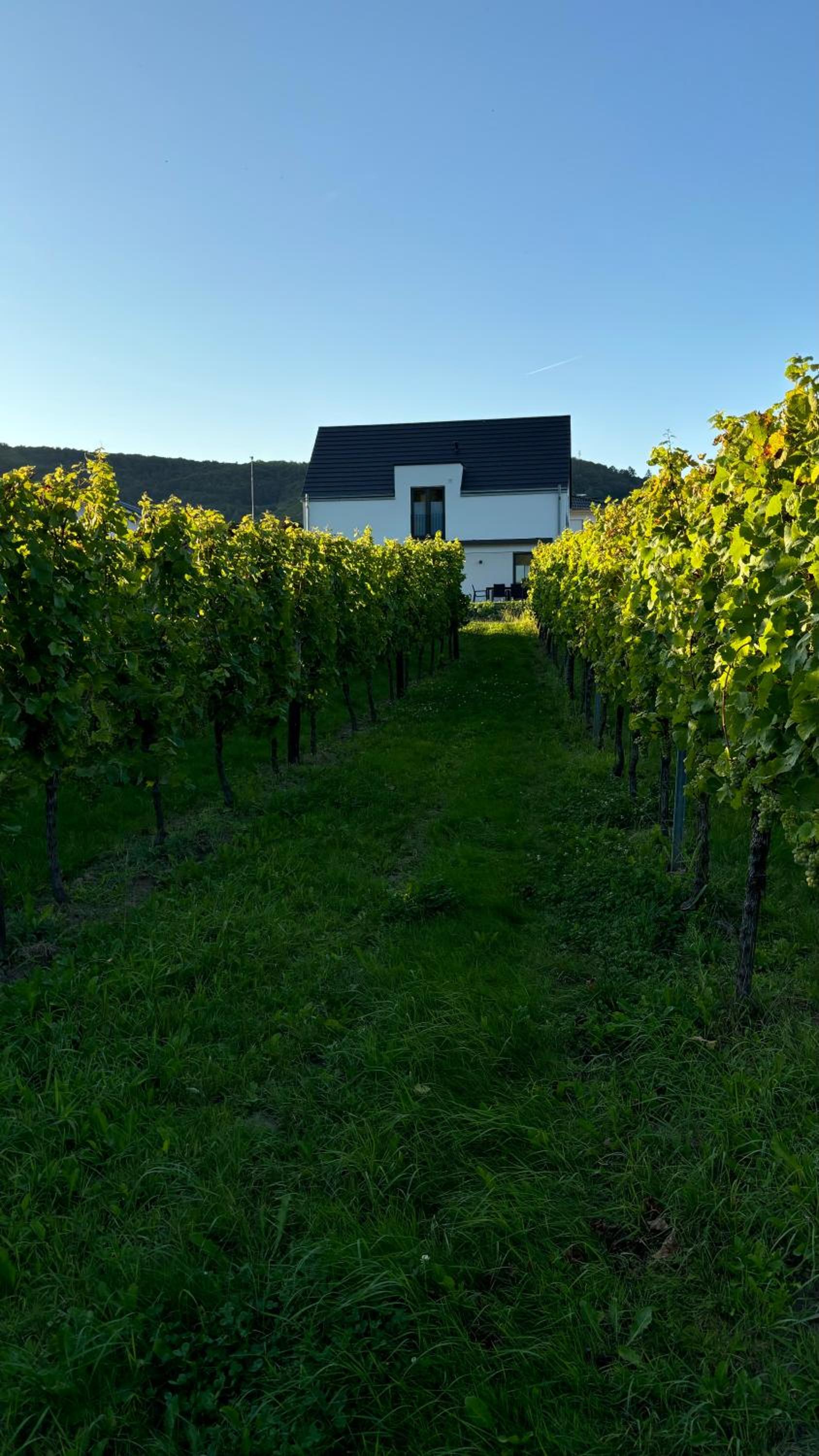 Haus im Weinberg