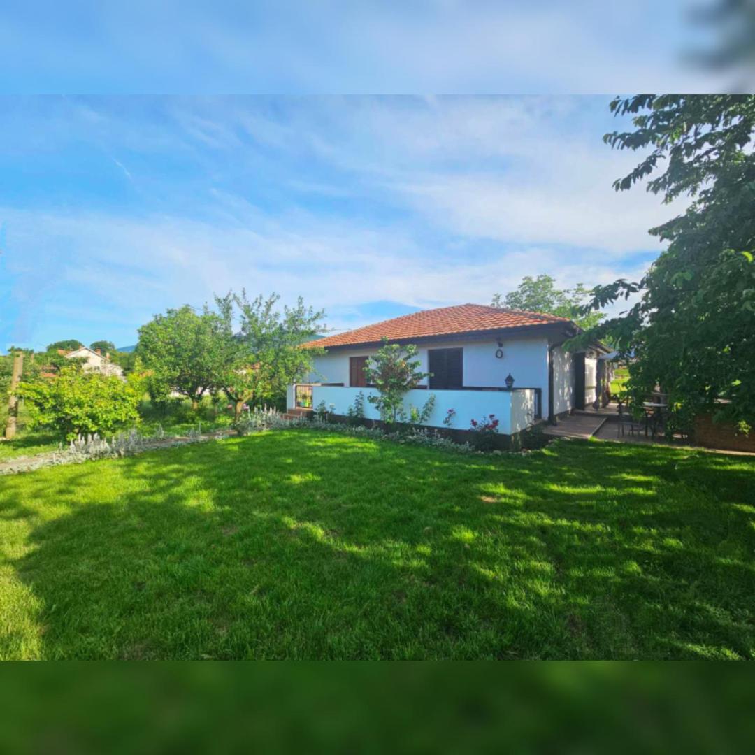 House Milovanovic view 3