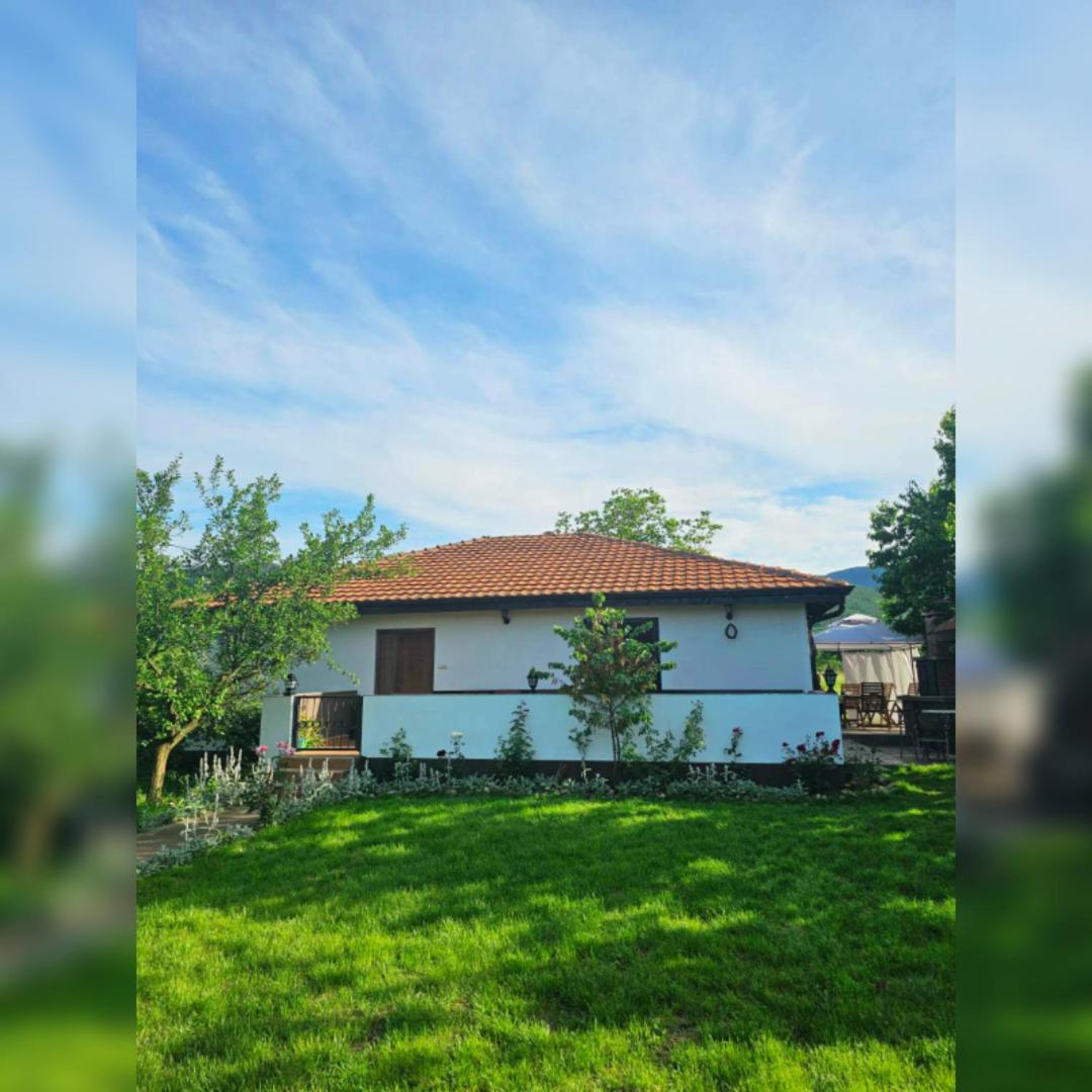 House Milovanovic view 2