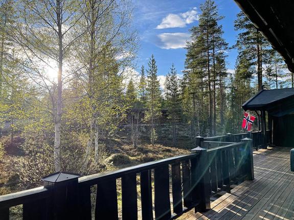 Mountain cabin