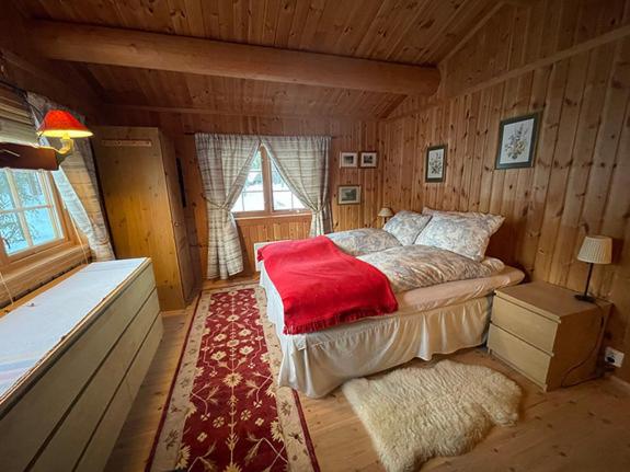 Mountain cabin