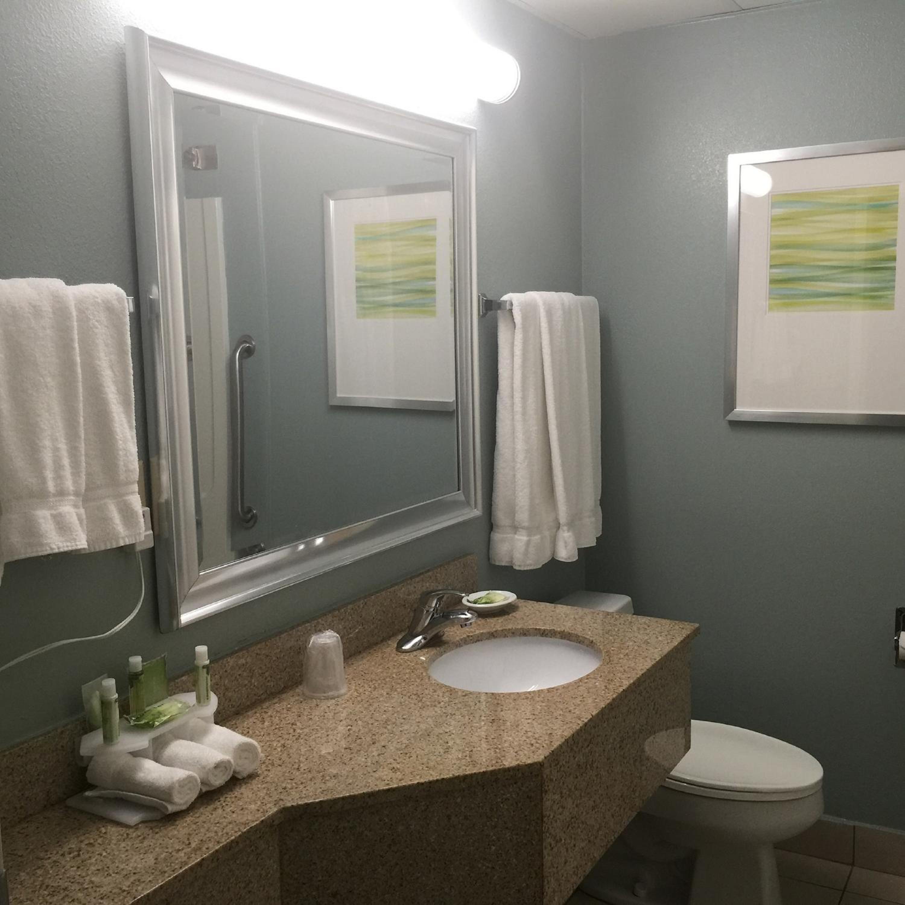 Baymont Inn & Suites Braselton, Billede 16