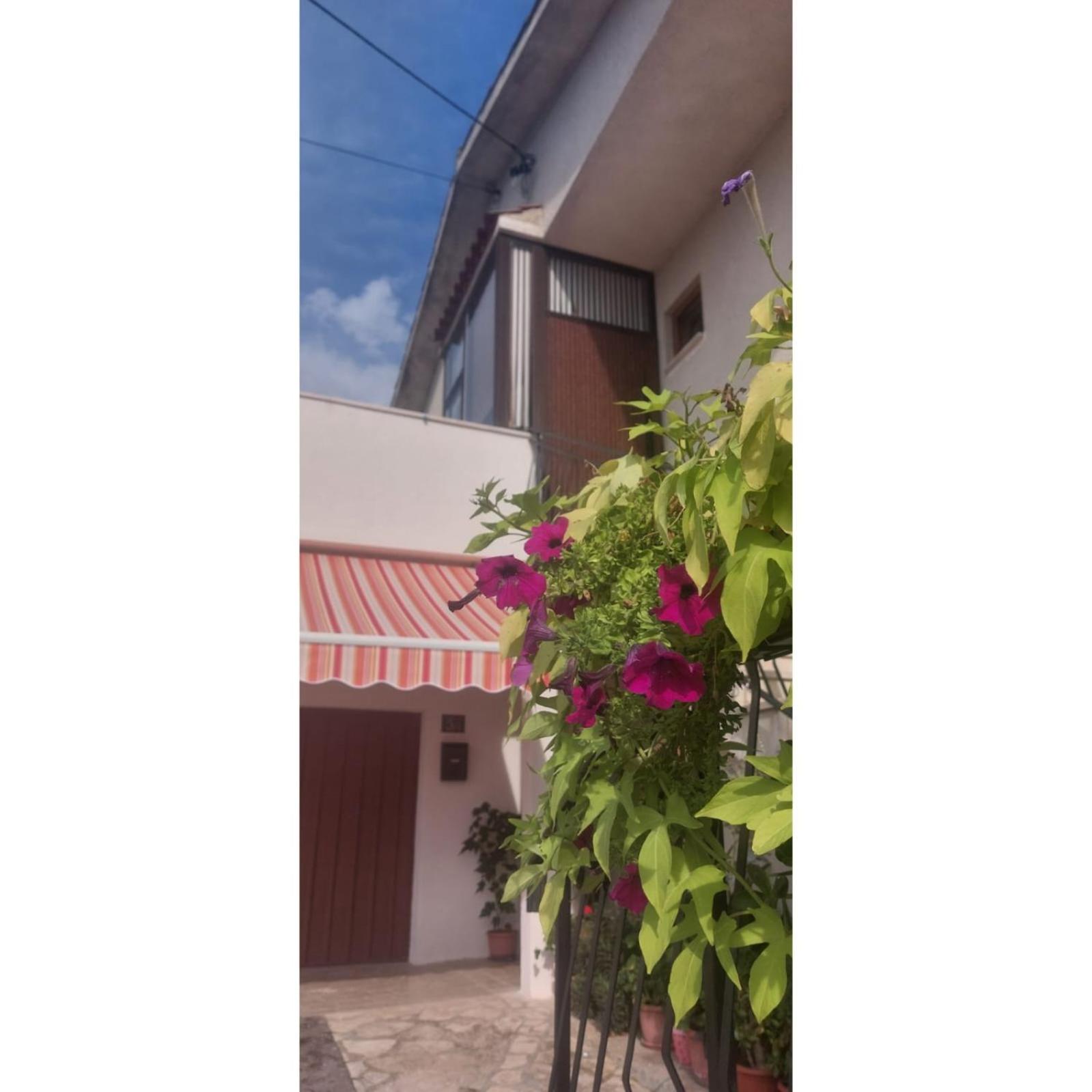 Apartman Dino view 5