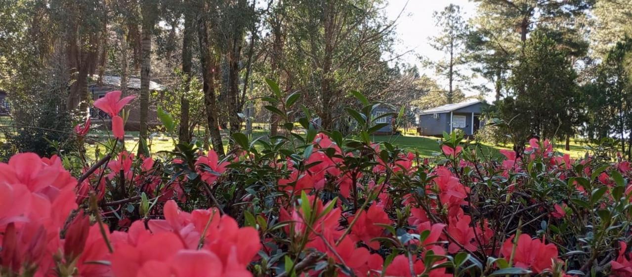 Hotel Las Azaleas