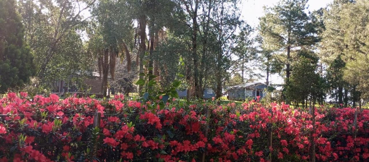 Hotel Las Azaleas
