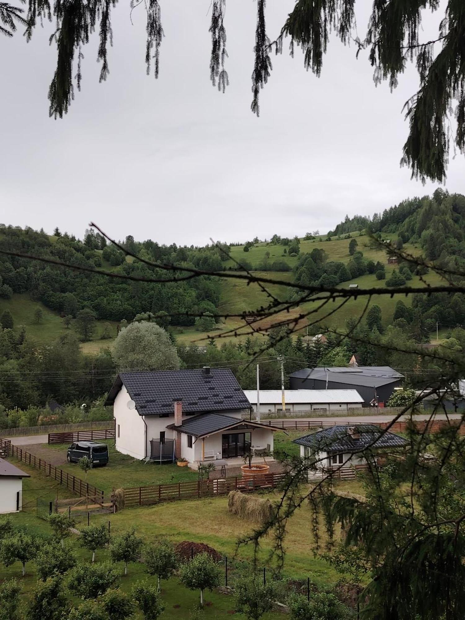 BUKLAND Bucovina