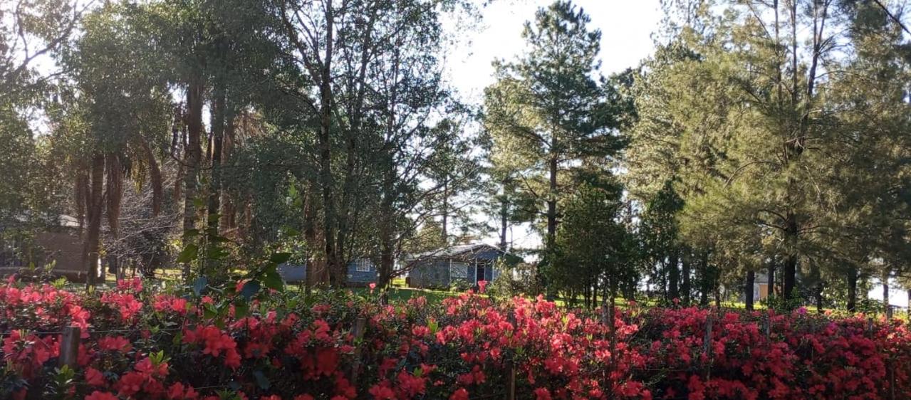 Hotel Las Azaleas