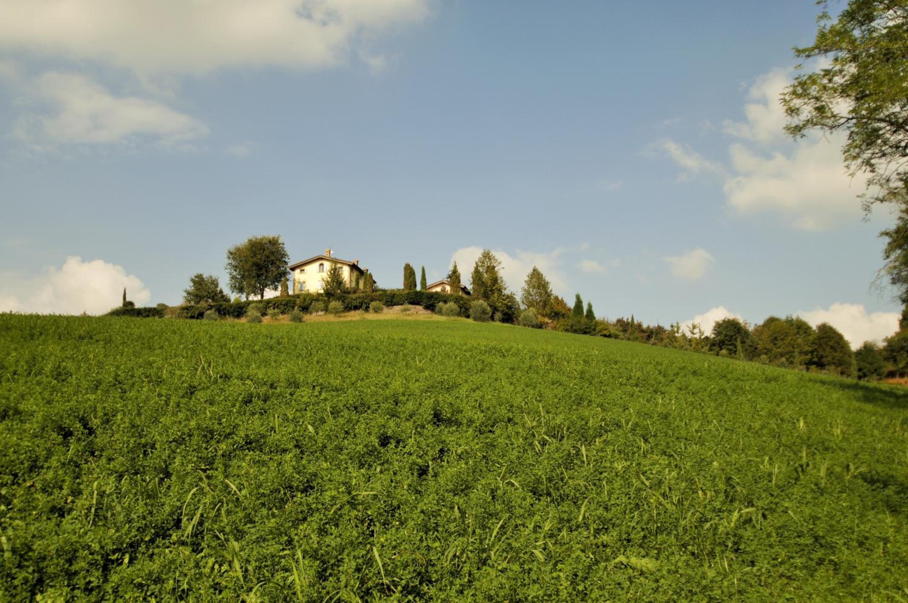La Vedetta B&B con Ristorante e Acetaia